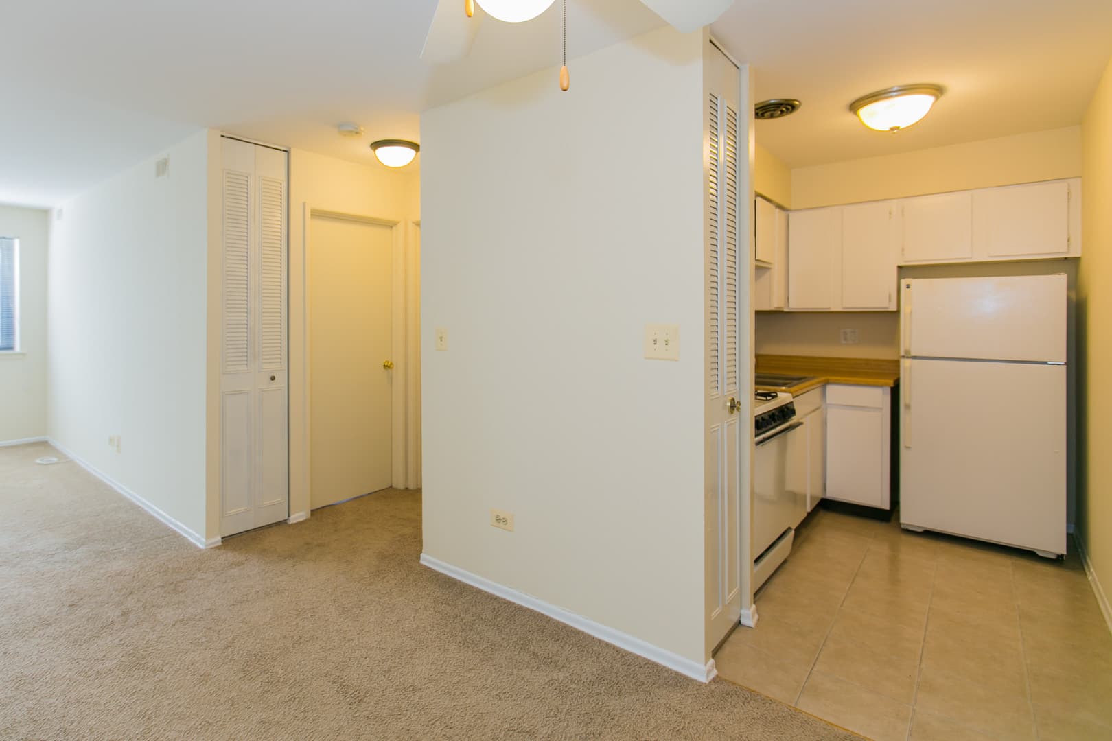 Chicago Apartment: 525 W. Deming Place