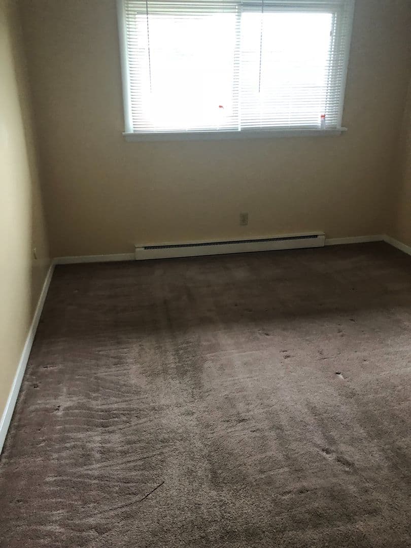Syracuse Apartment: 170 Polk Street
