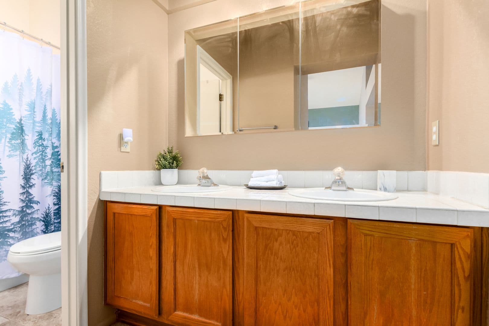 Oro Valley House: 10472 N. Fair Mountain Drive