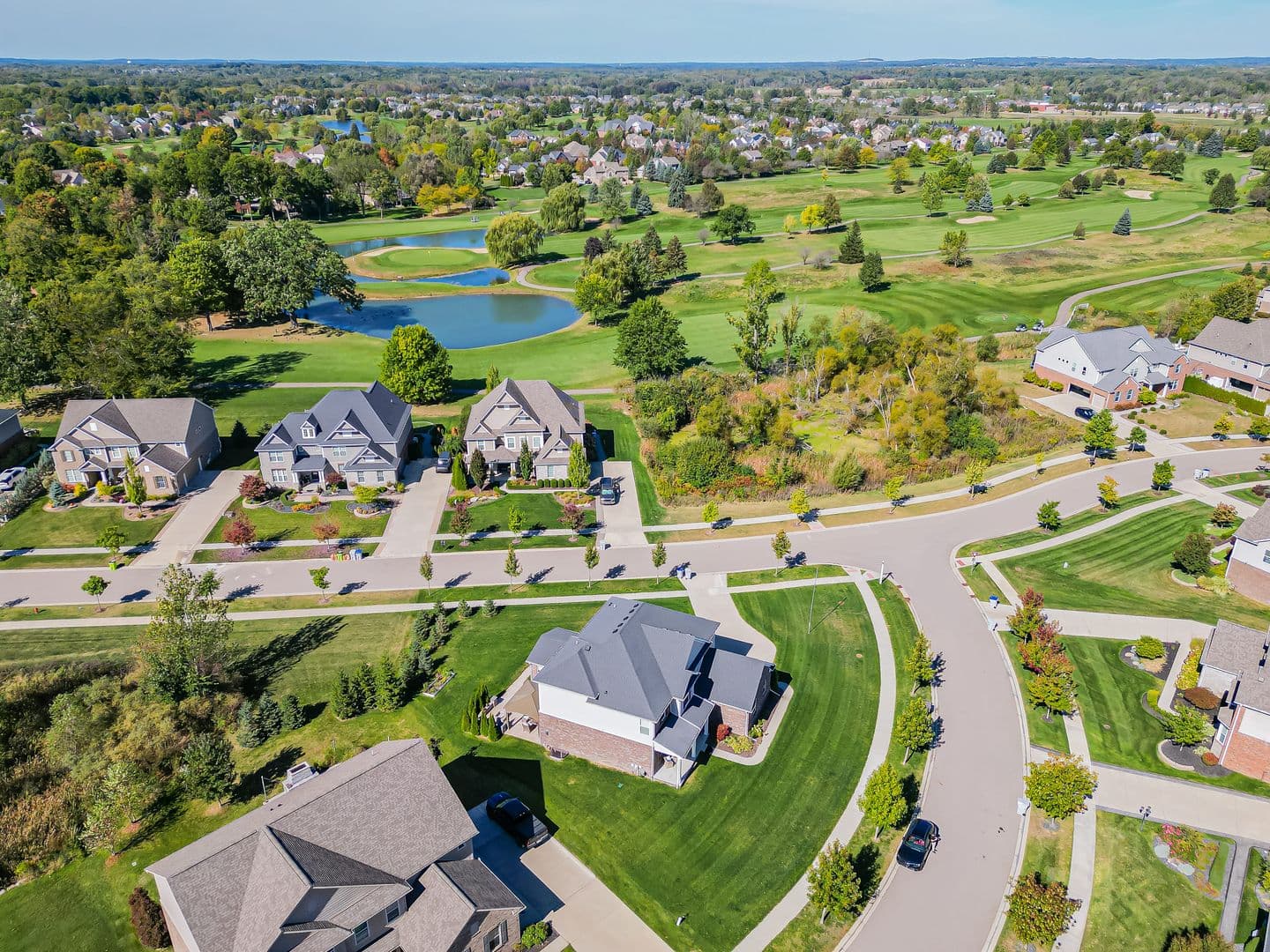 South Lyon House: 23431 Crooked Tree Ct S