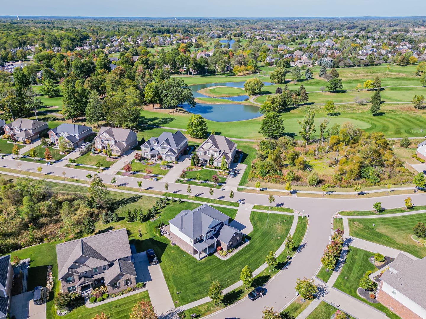 South Lyon House: 23431 Crooked Tree Ct S
