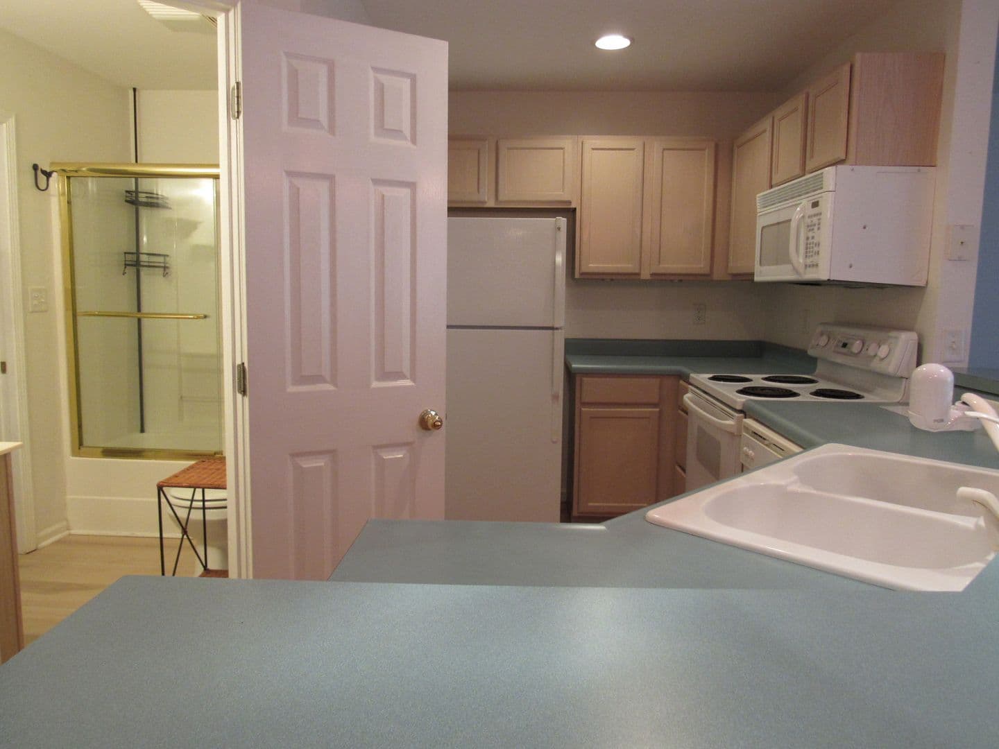 Kaiser Condo: 549 Park Place Dr. 1E