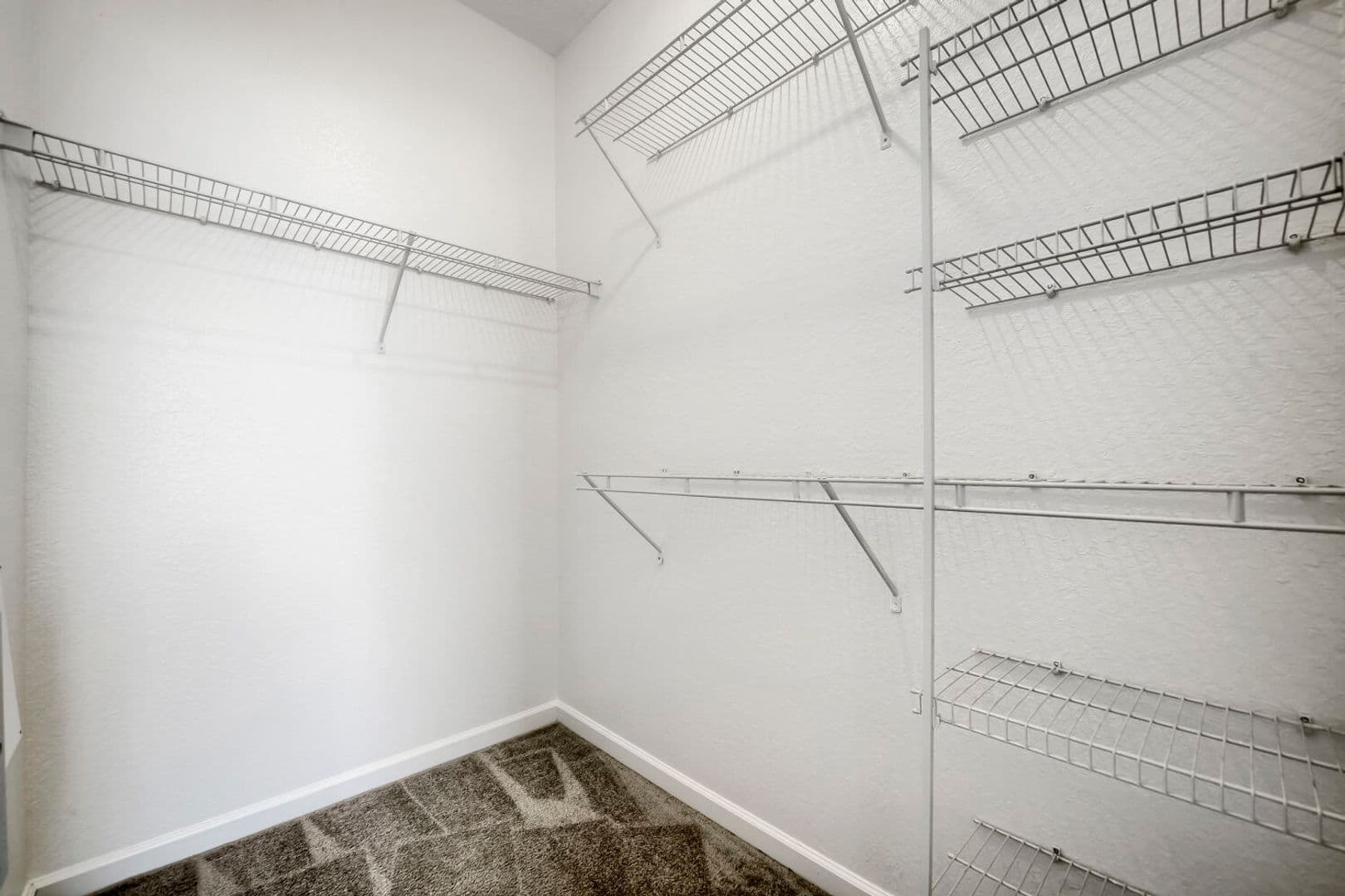 Orlando House: 6466 Cava Alta Dr.
