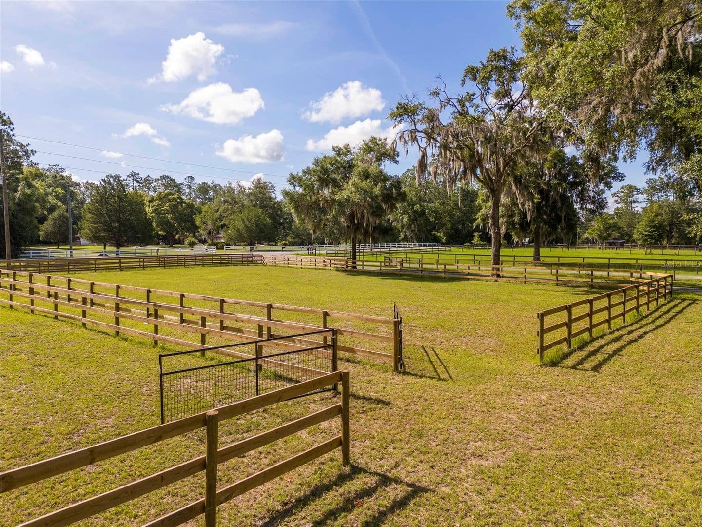 OCALA House: 196 NW 100TH AVENUE