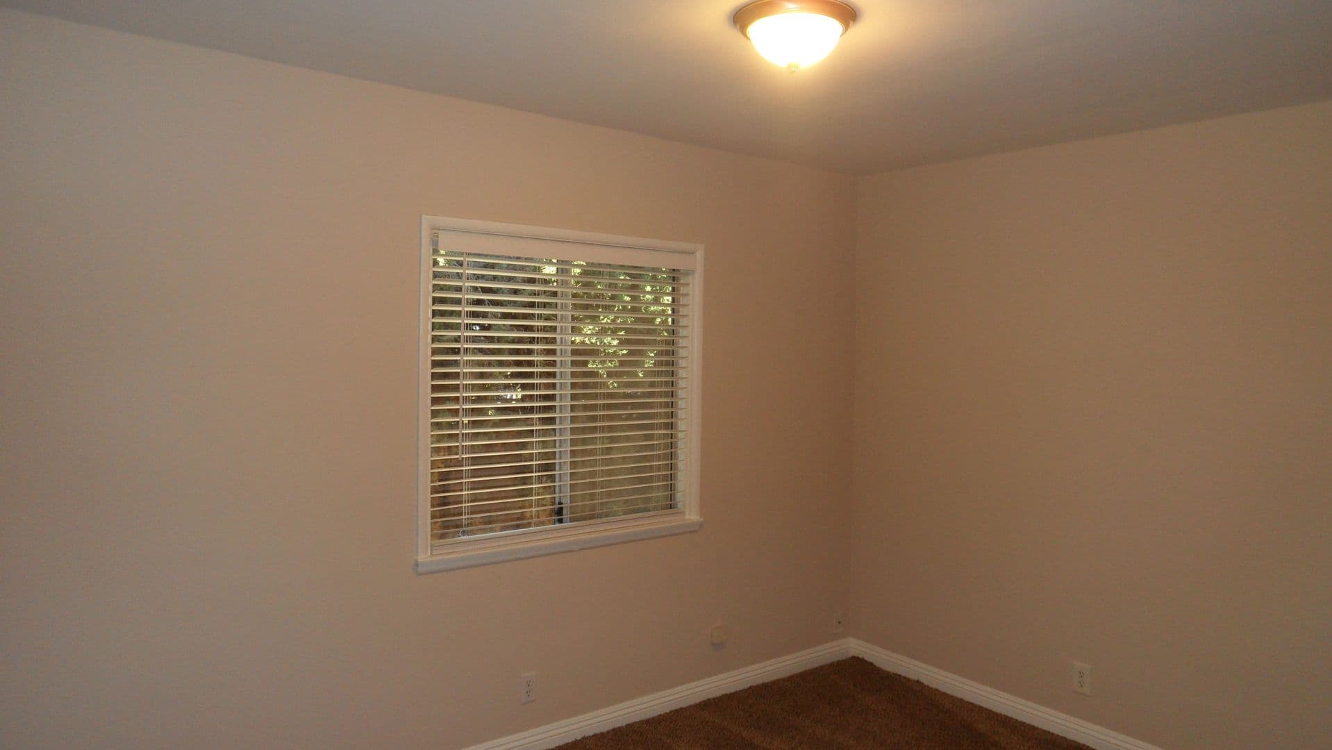 Orange House: 344 N. Shattuck Pl.