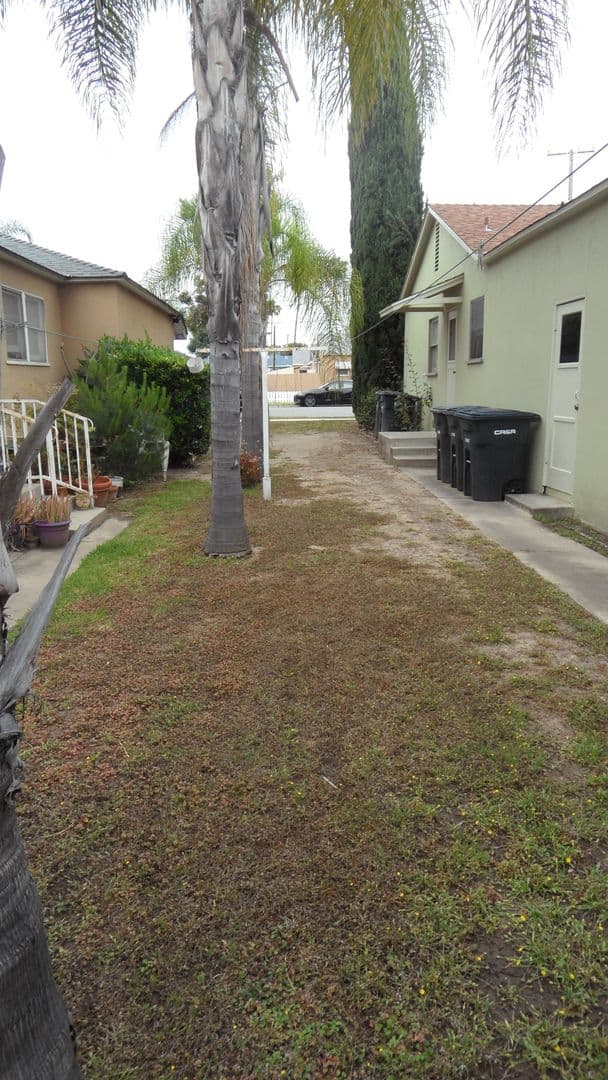 Orange Apartment: 803, 809, 815 W. Maple Ave.