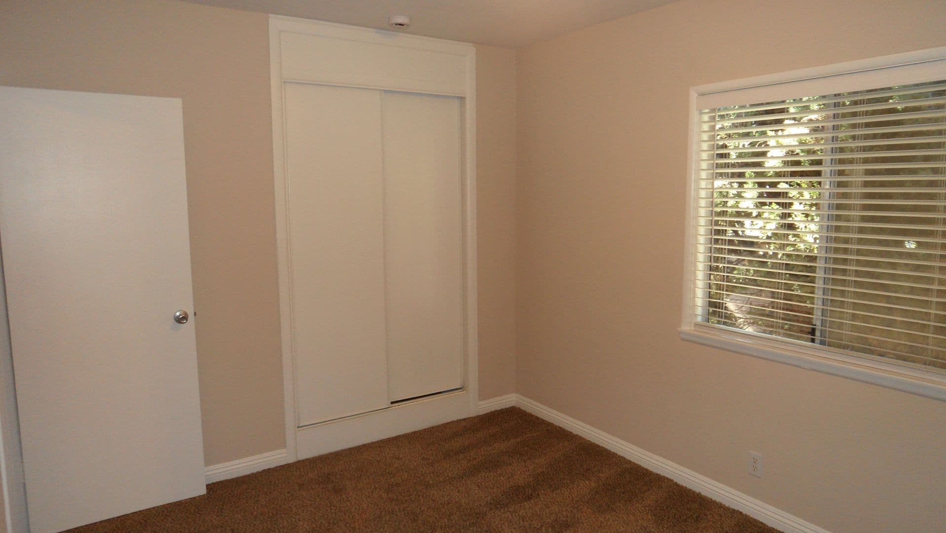 Orange House: 344 N. Shattuck Pl.