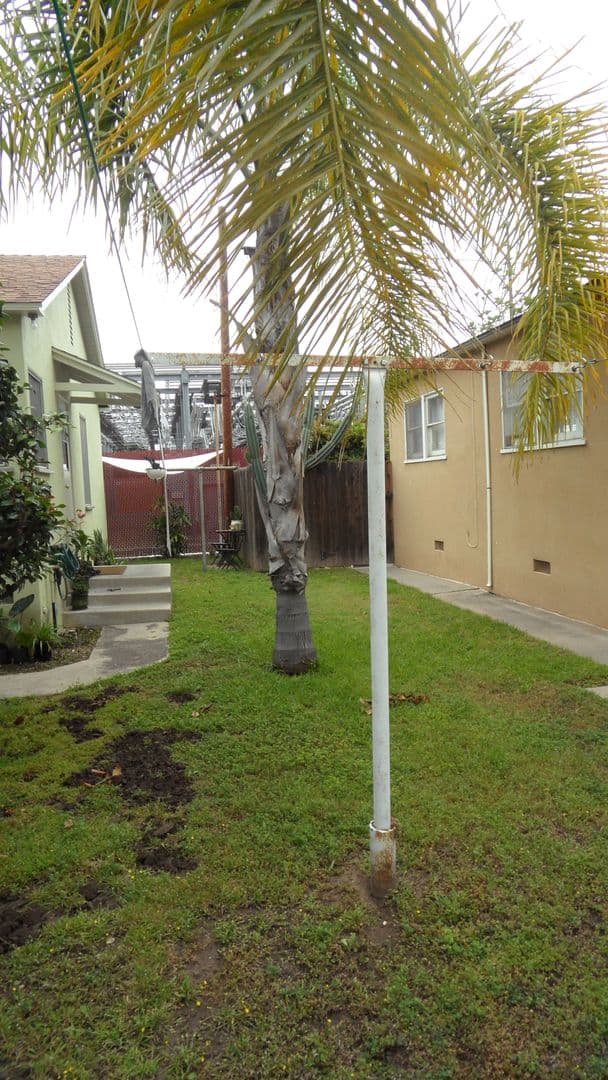 Orange Apartment: 803, 809, 815 W. Maple Ave.