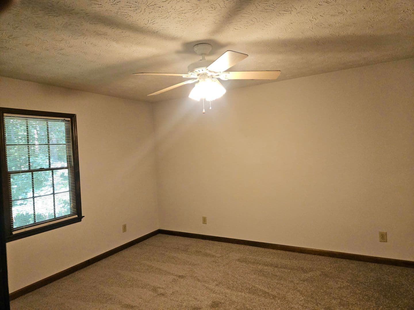 Dallas House: 520 Hardy Circle