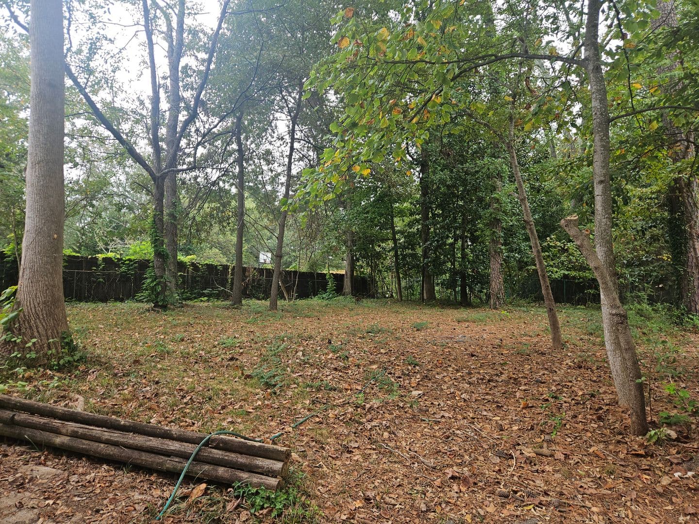 Smyrna House: 1151 Pinehurst Drive SE