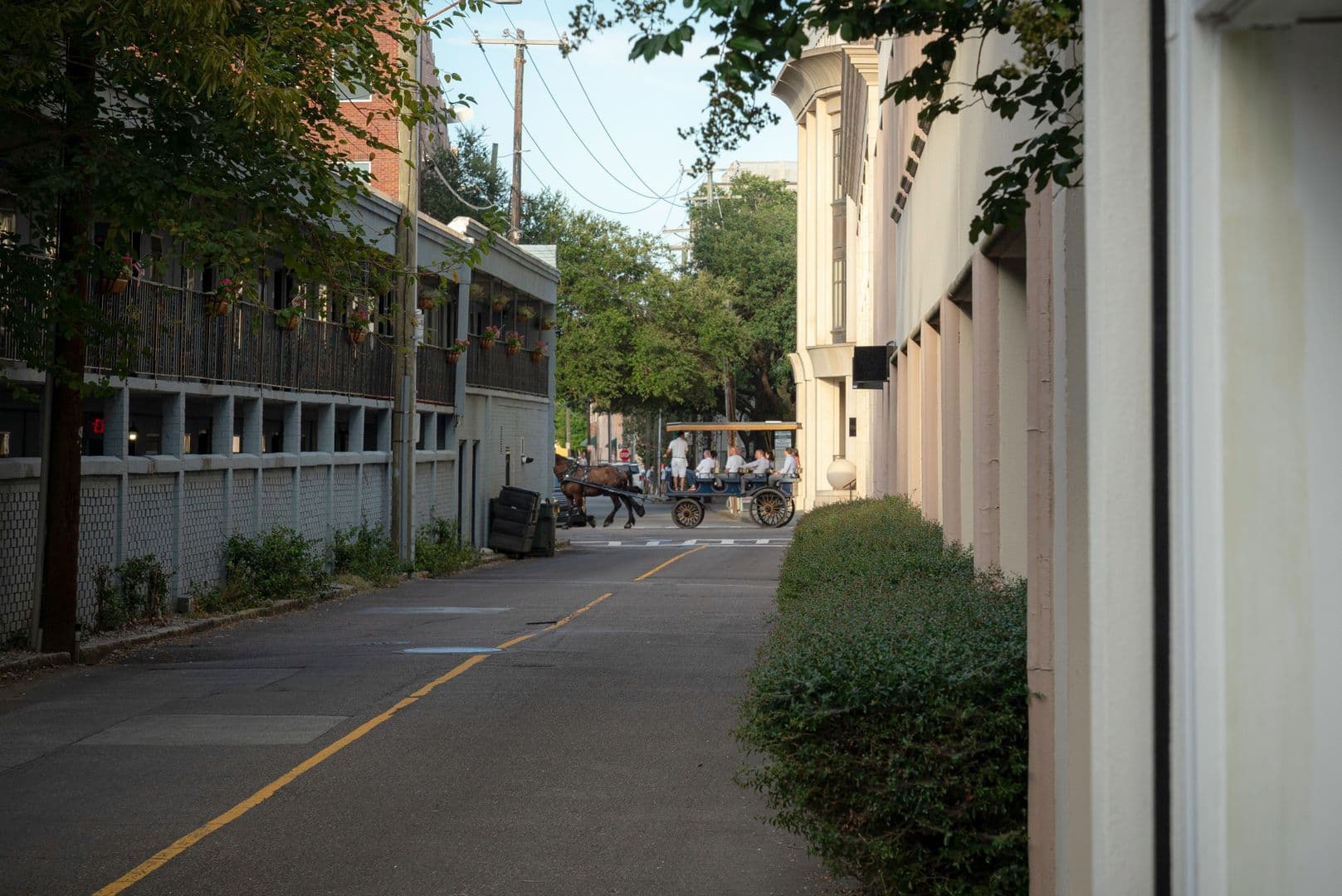Charleston House: 15 Horlbeck Alley