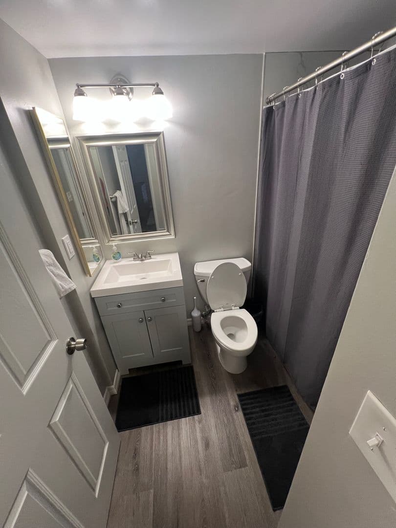 Palm Harbor Apartment: 552 Hammock Drive