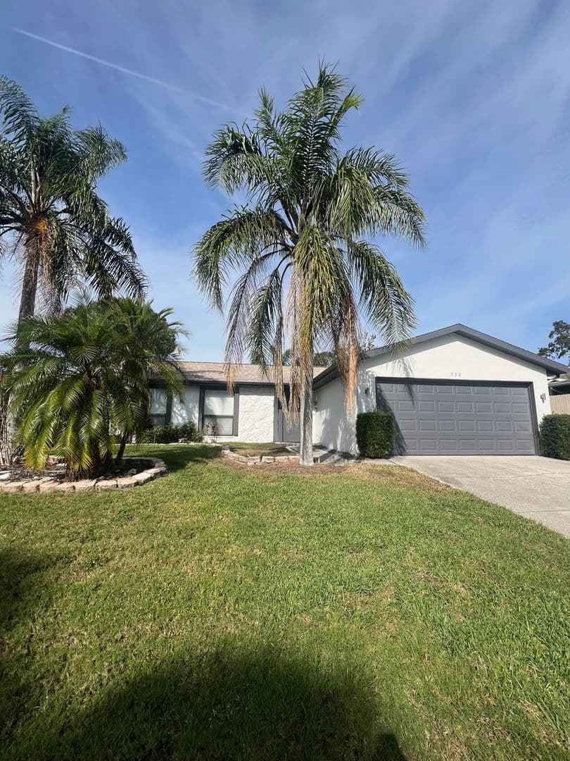 Palm Harbor Apartment: 552 Hammock Drive