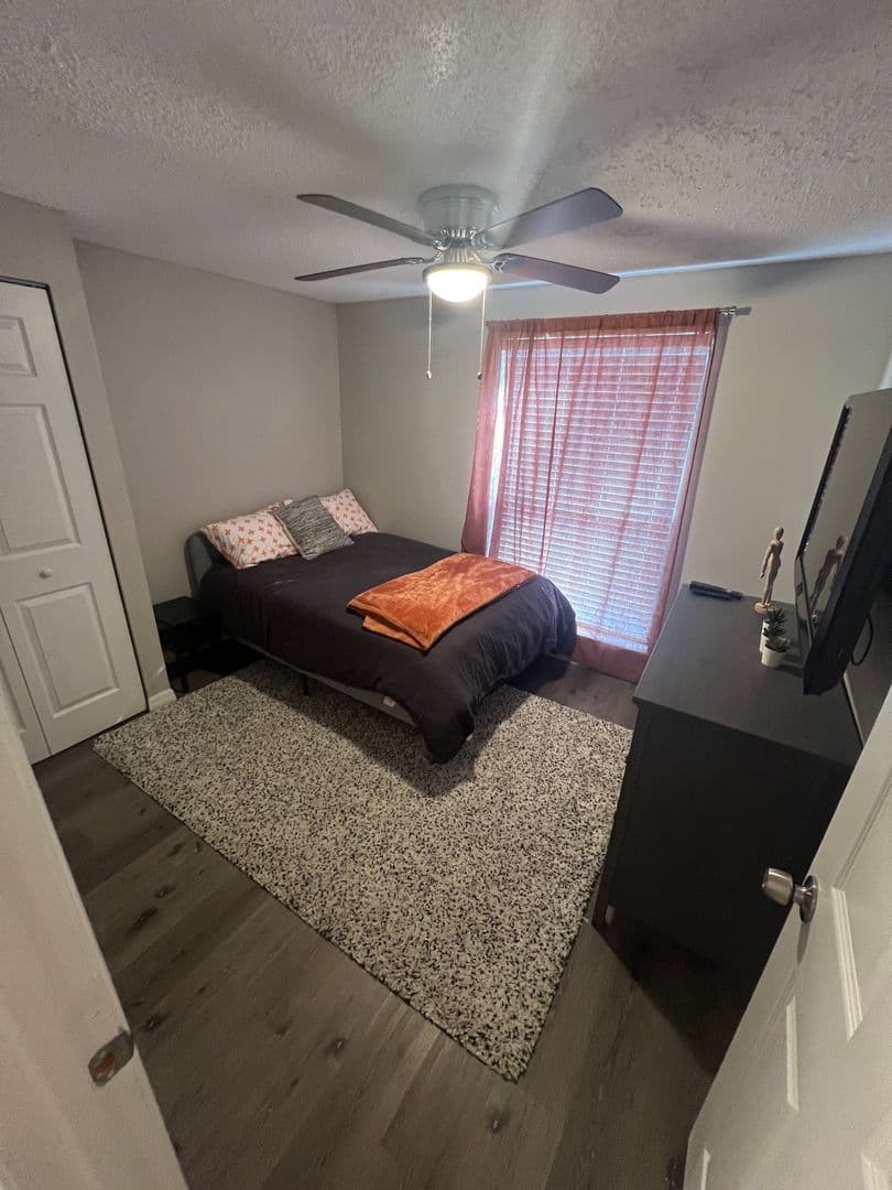 Palm Harbor Apartment: 552 Hammock Drive