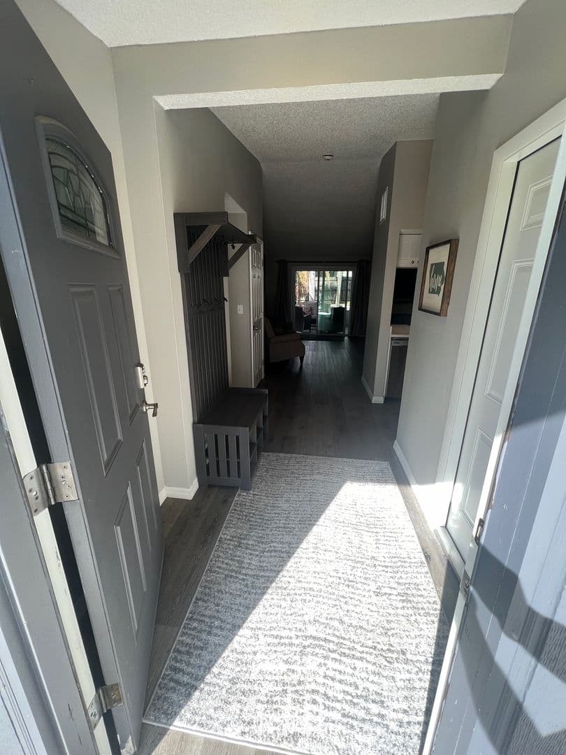 Palm Harbor Apartment: 552 Hammock Drive