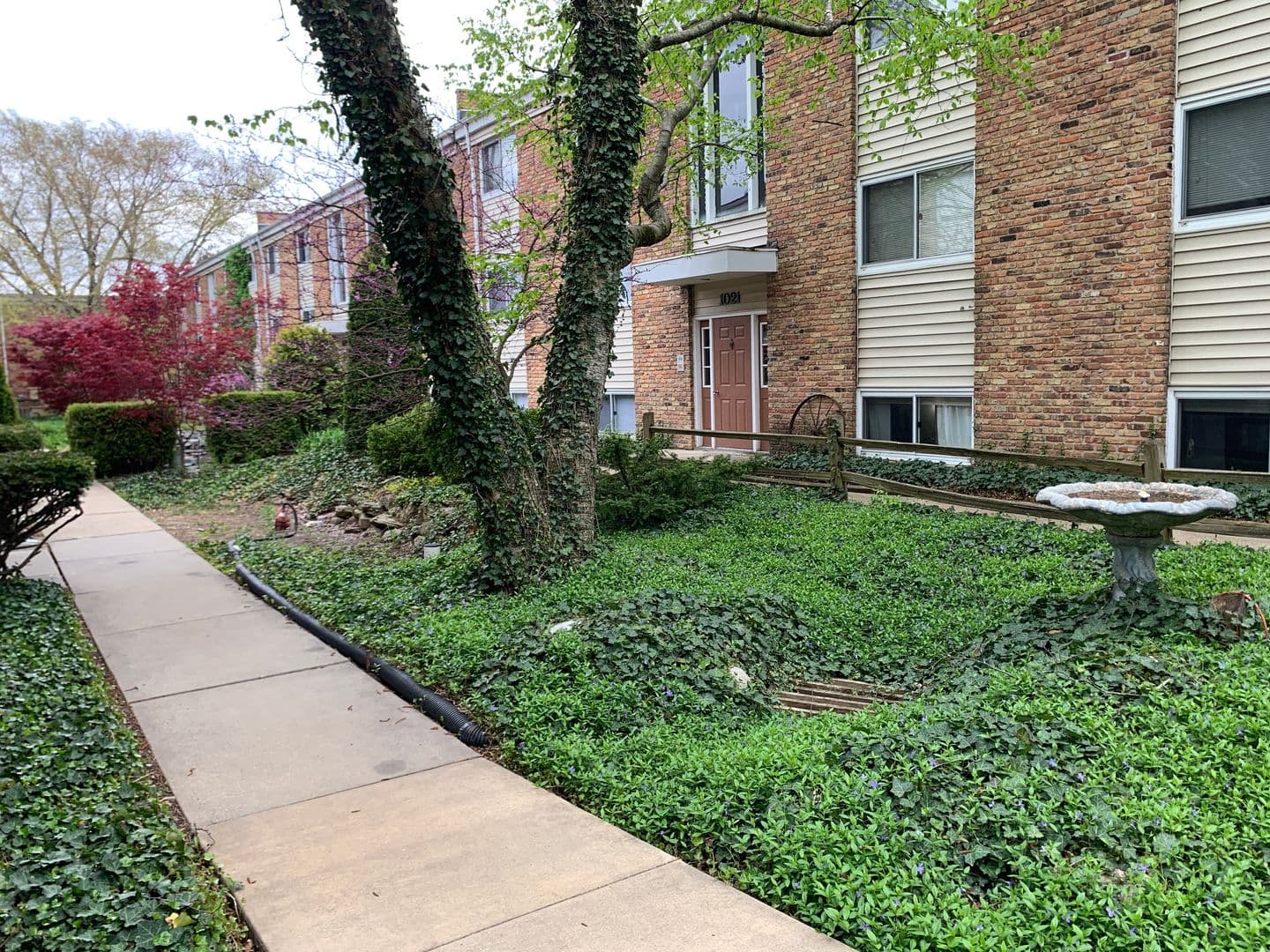 Champaign Apartment: 1402 N McKinley Ave