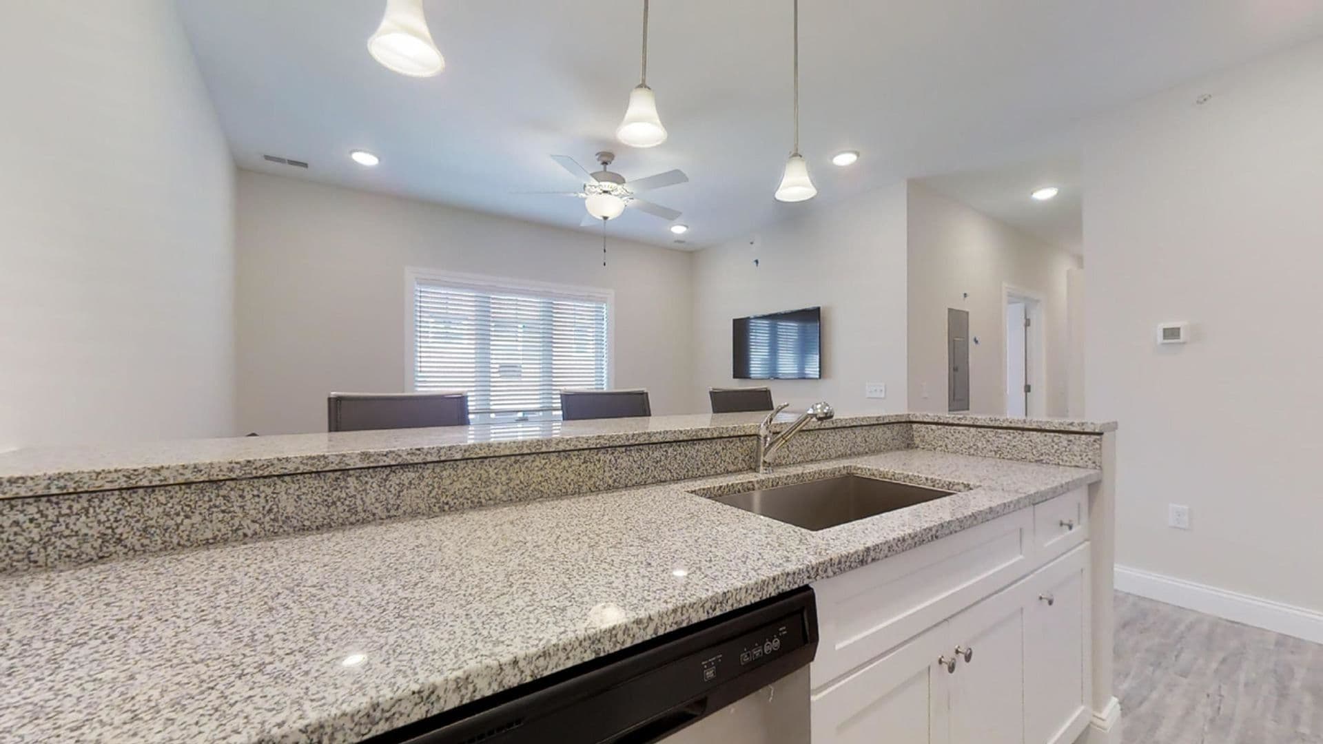 Champaign Apartment: 309 West Washington Street