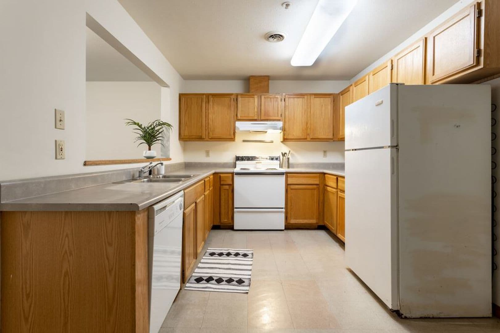 Urbana Apartment: 905 West Springfield Avenue