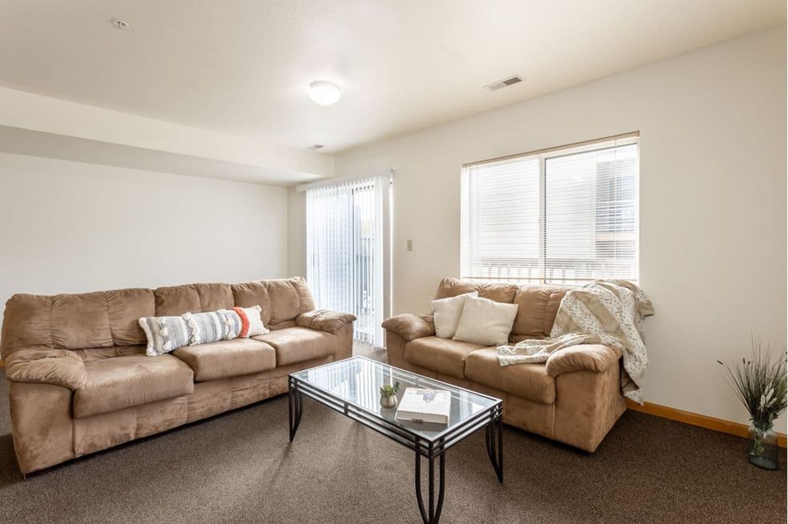 Urbana Apartment: 905 West Springfield Avenue