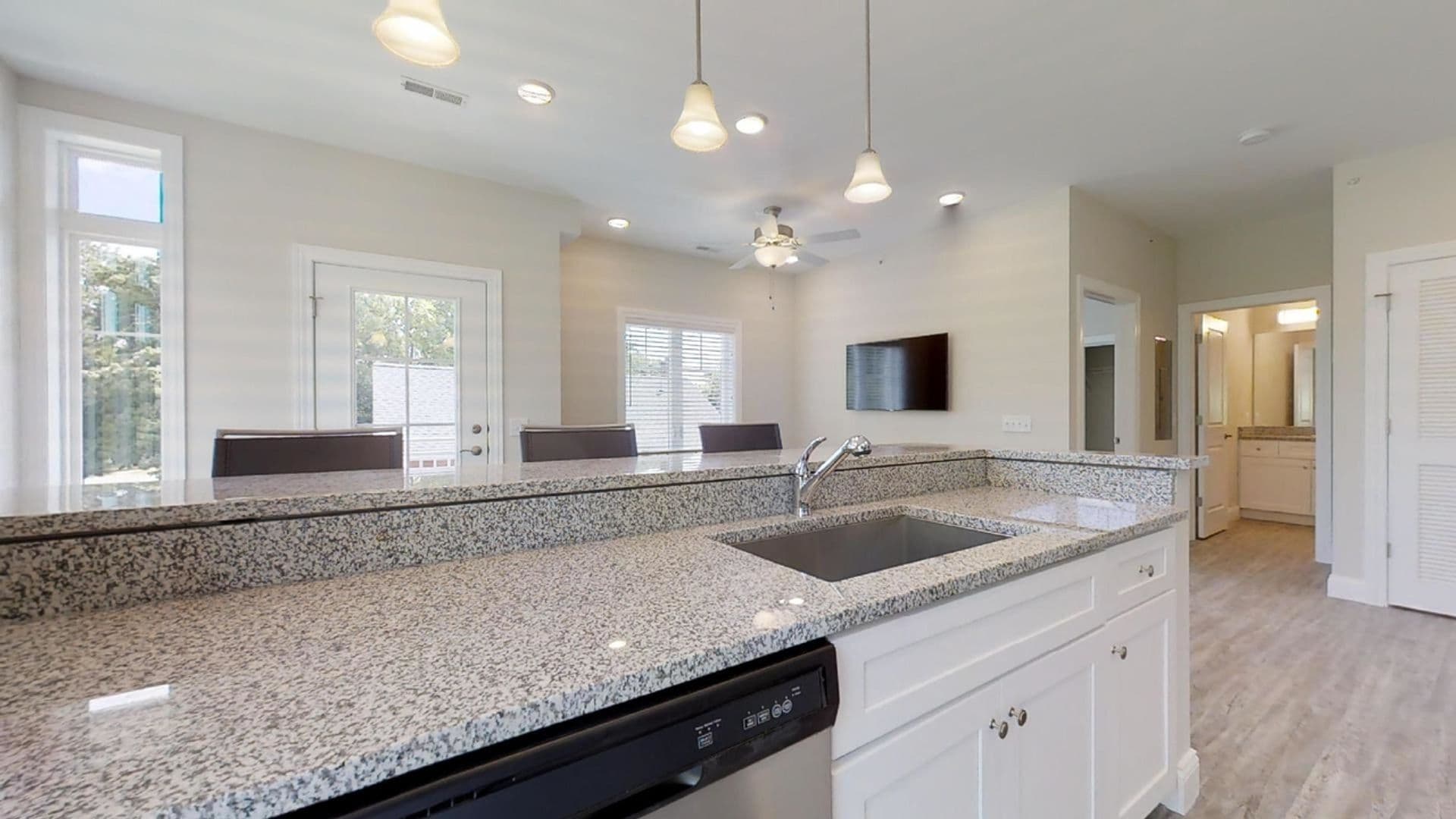 Champaign Apartment: 309 West Washington Street