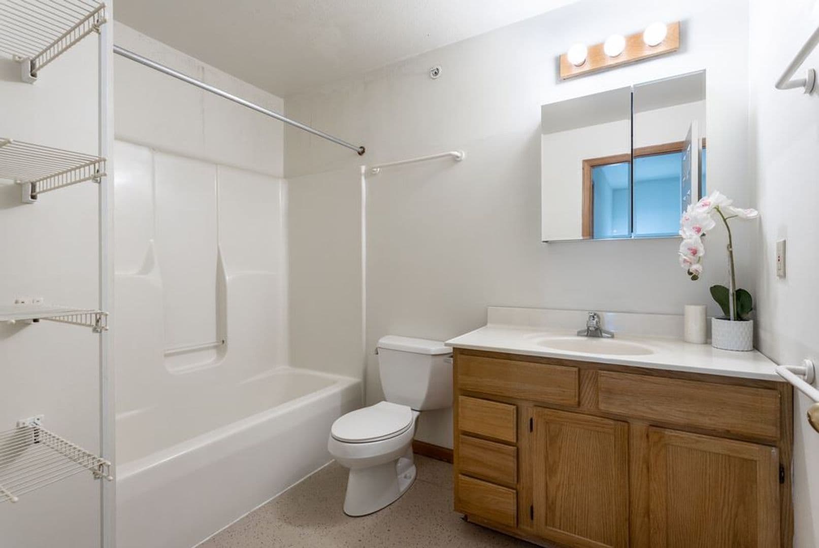 Urbana Apartment: 905 West Springfield Avenue