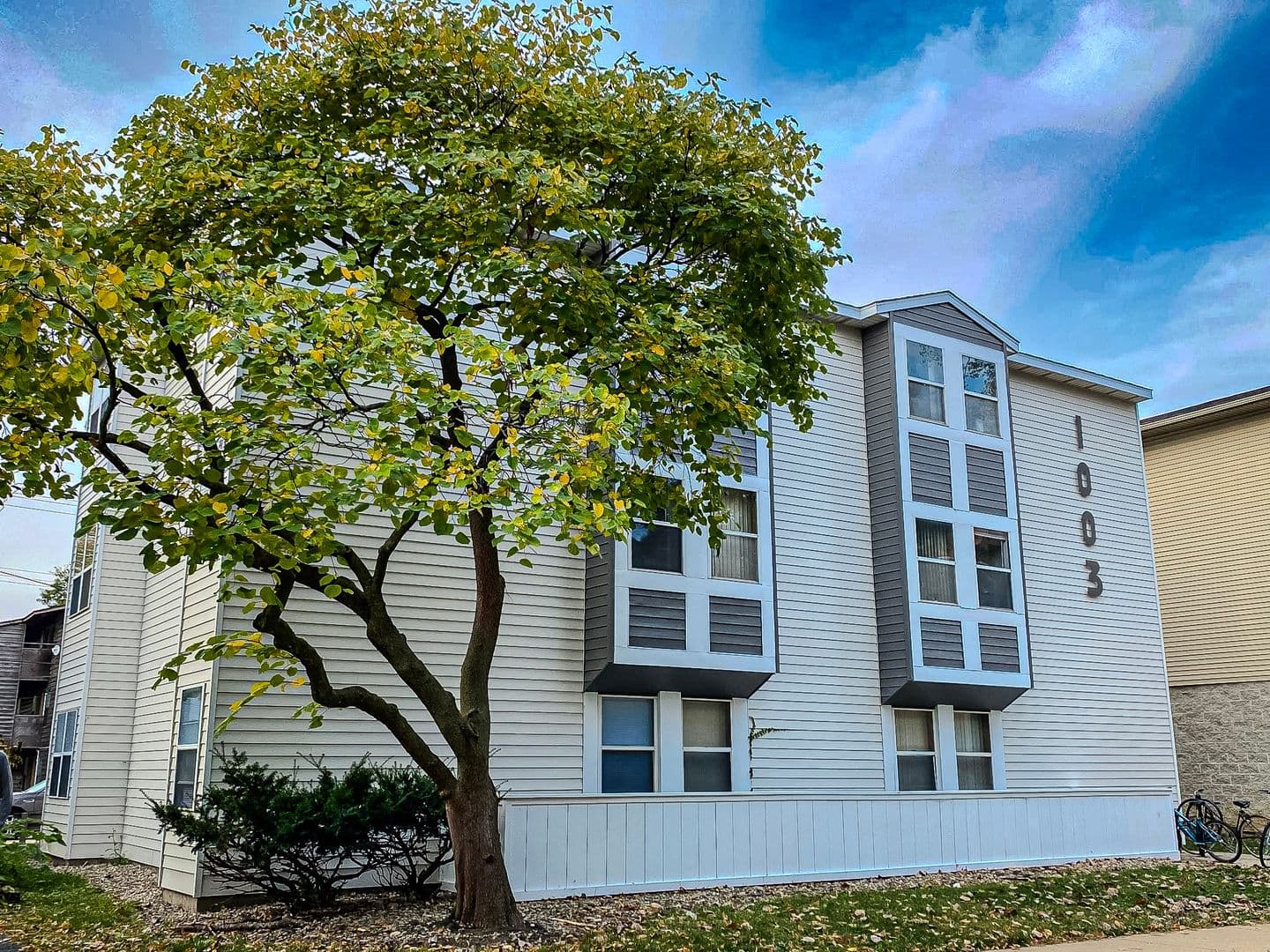 Urbana Apartment: 1003 W Stoughton Street