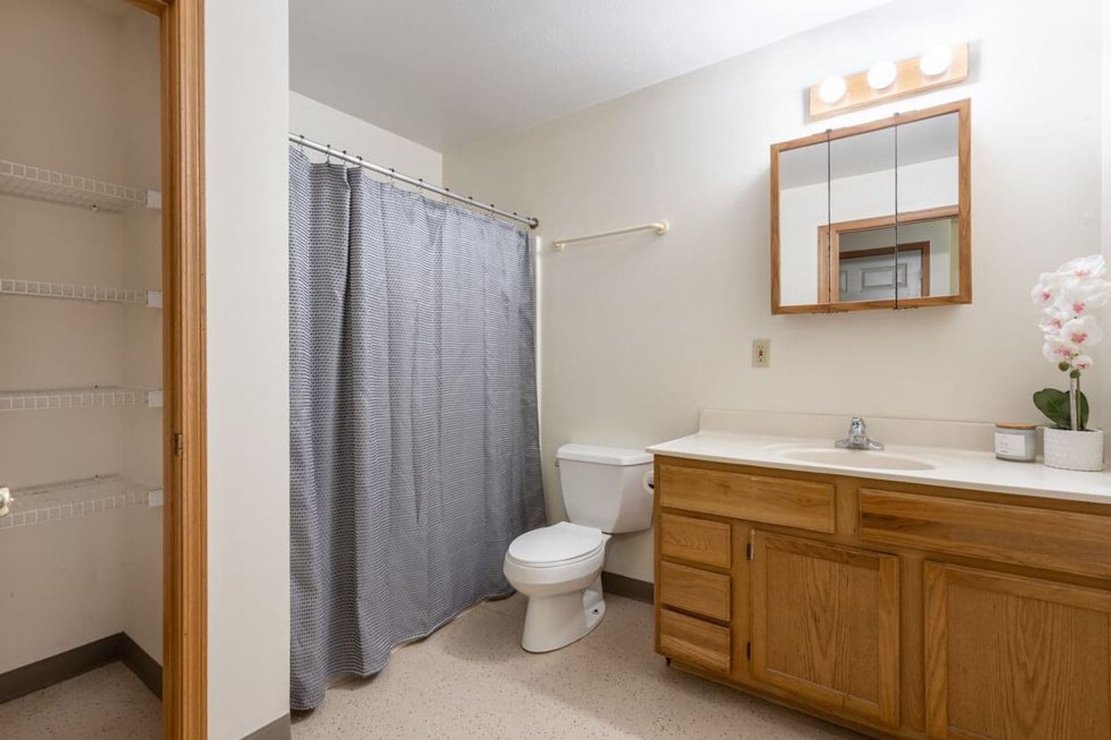 Urbana Apartment: 905 West Springfield Avenue
