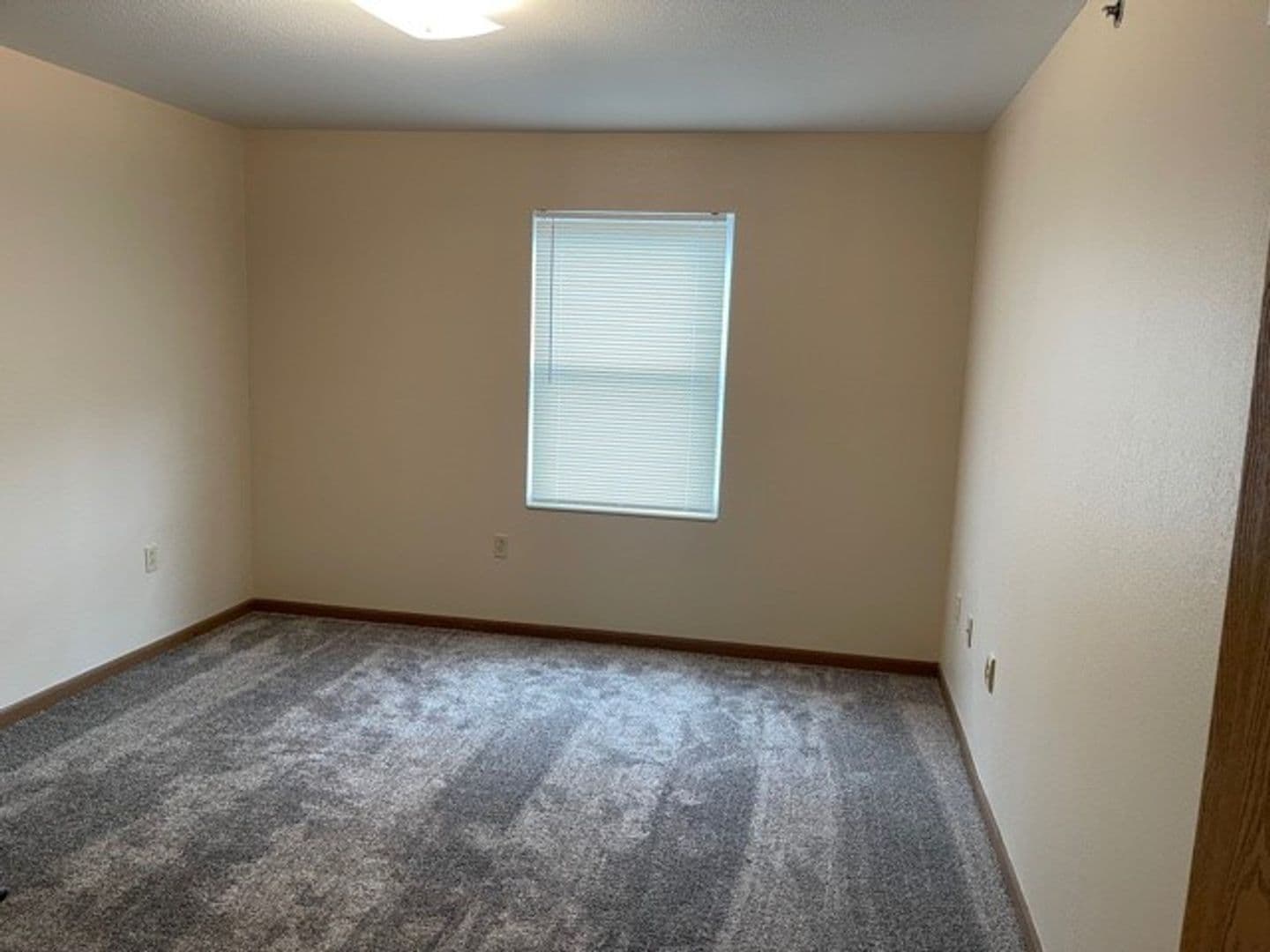 Champaign Apartment: 310 Cedar Street