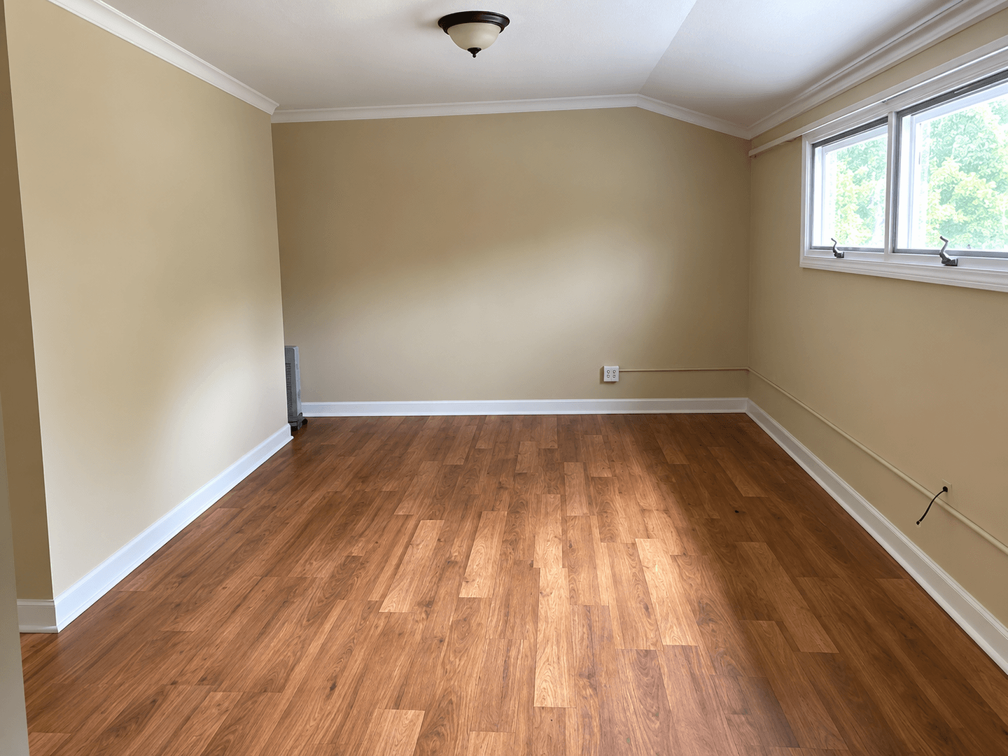 Urbana House: 803 West Oregon Street-one