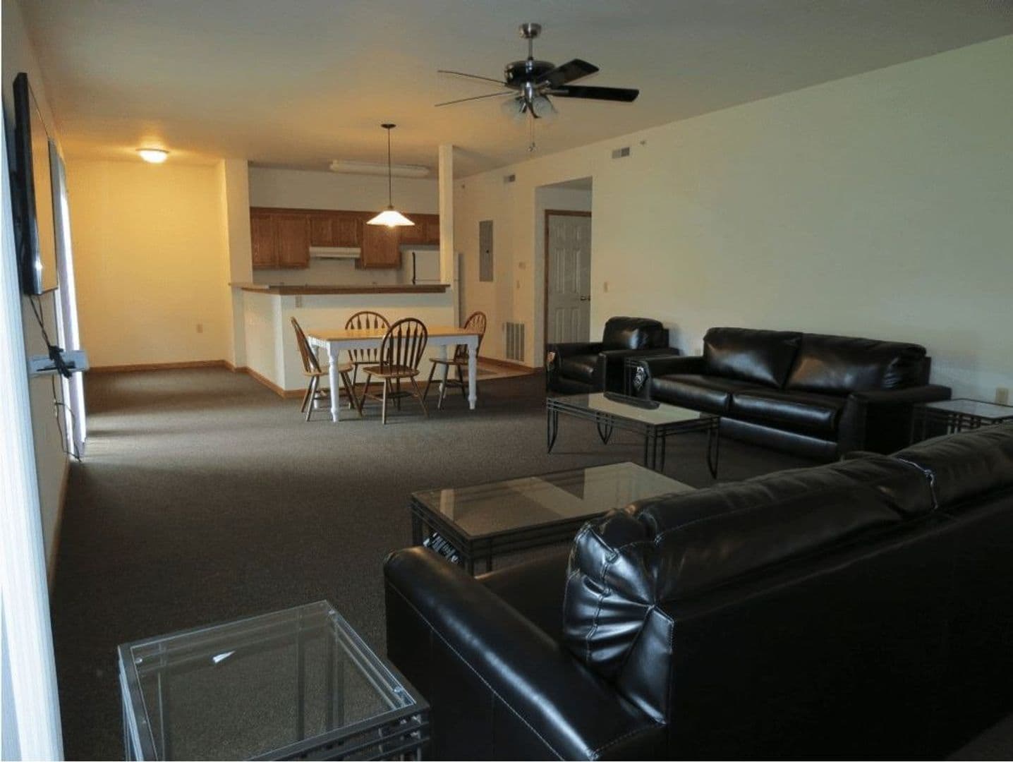 Urbana Apartment: 606 1/2 West Elm Street