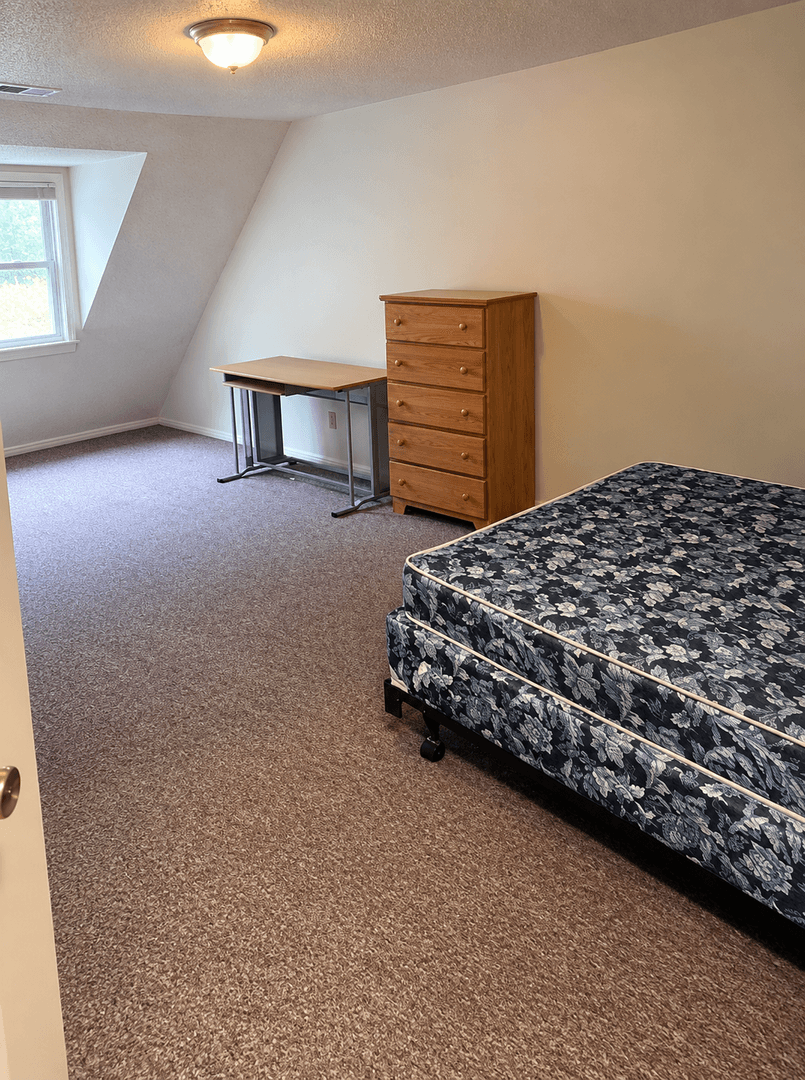 Urbana Apartment: 802 West Springfield Avenue
