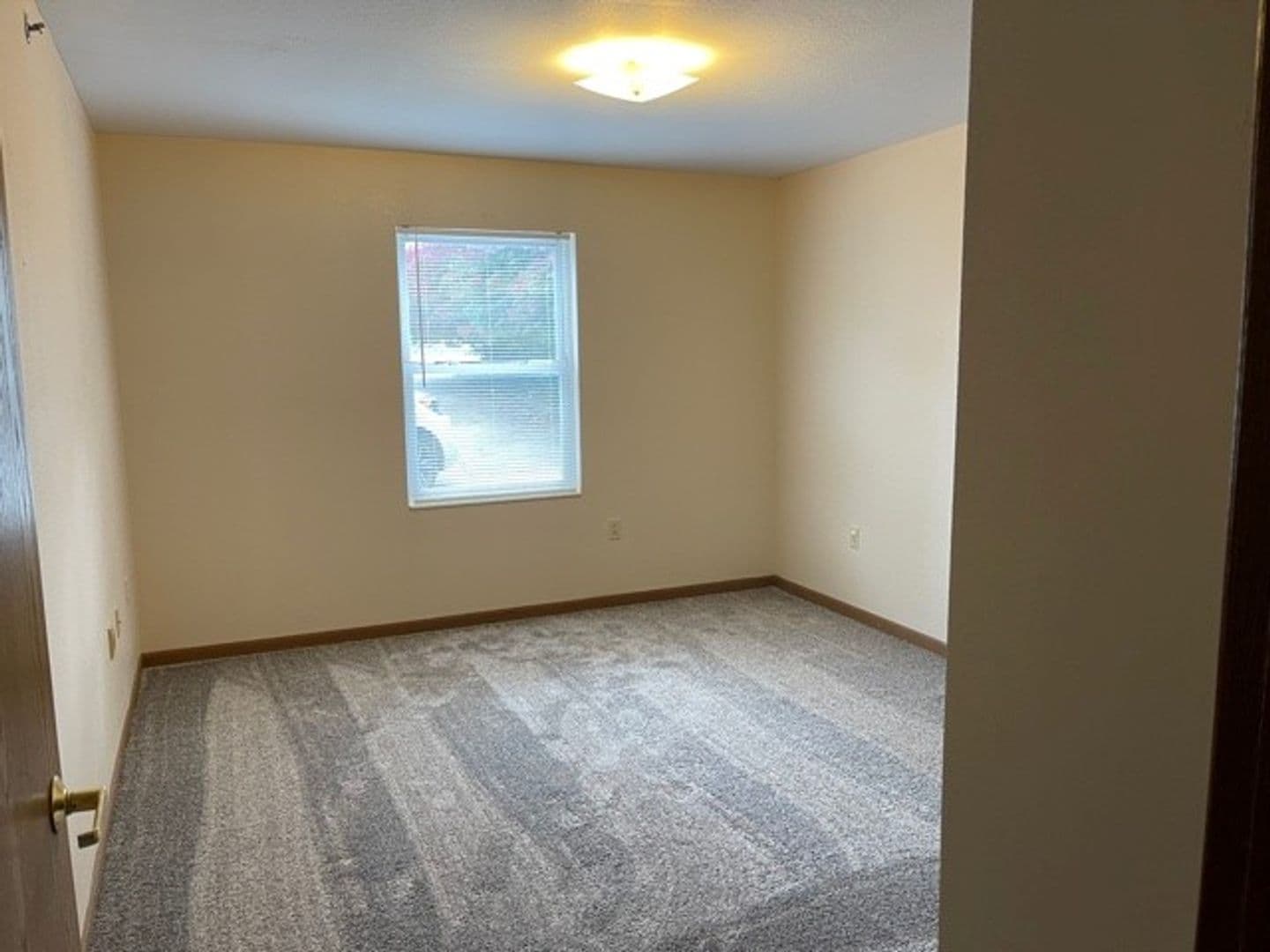 Champaign Apartment: 310 Cedar Street