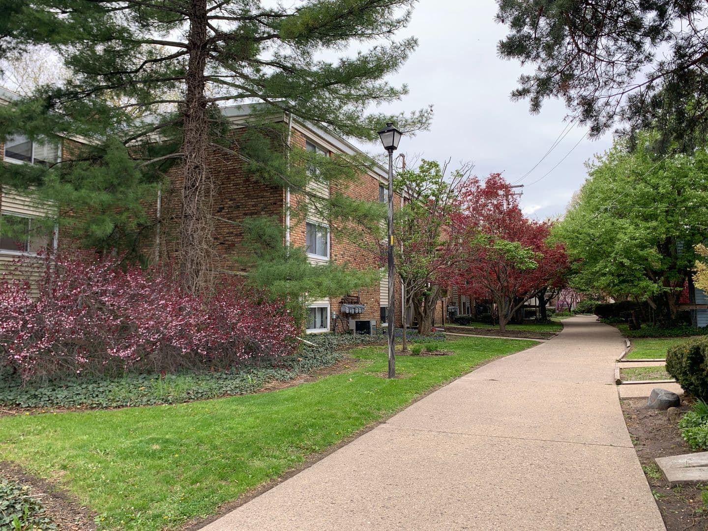 Champaign Apartment: 1009 Francis Dr