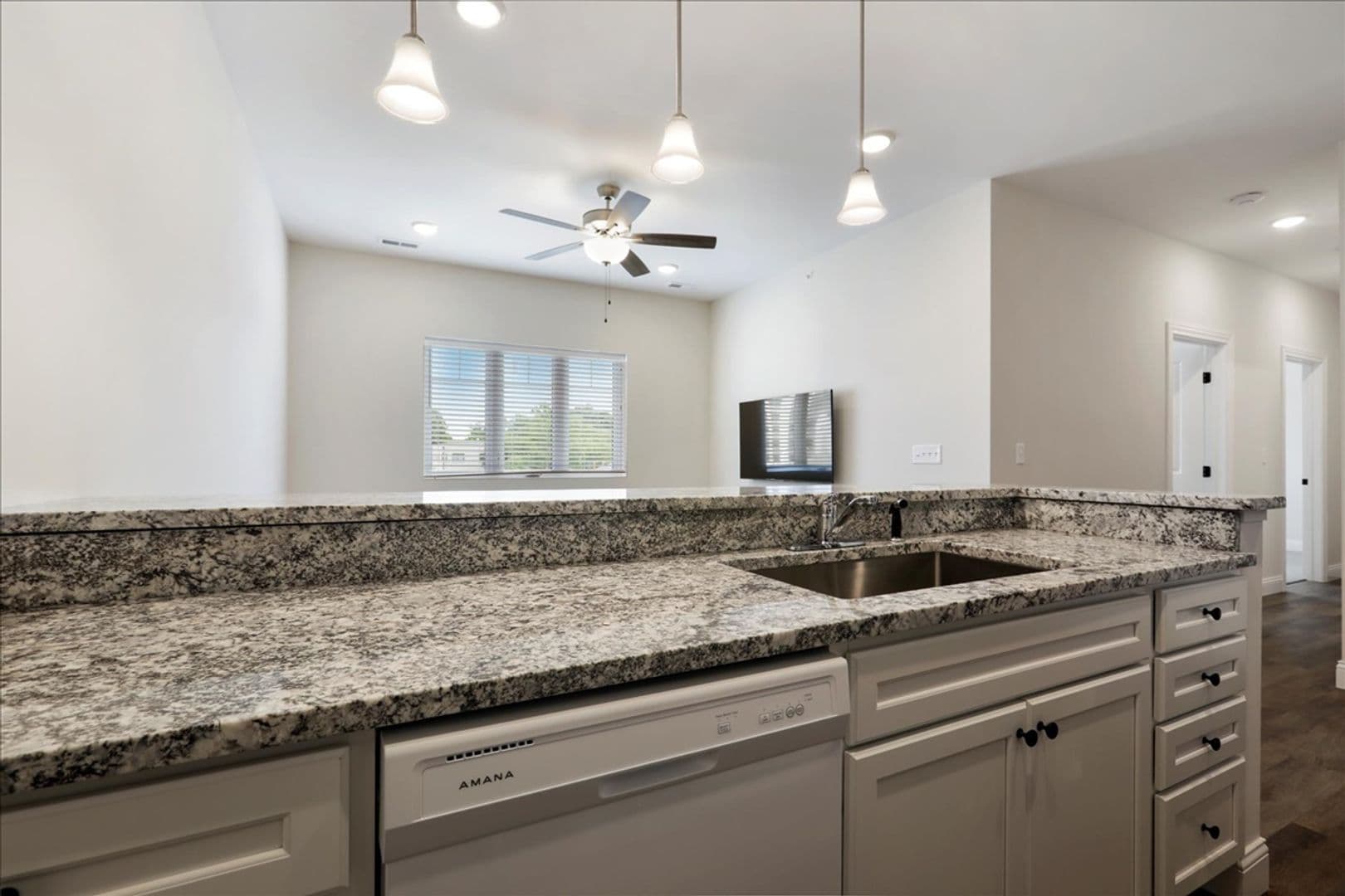 Champaign Apartment: 314 South State Street