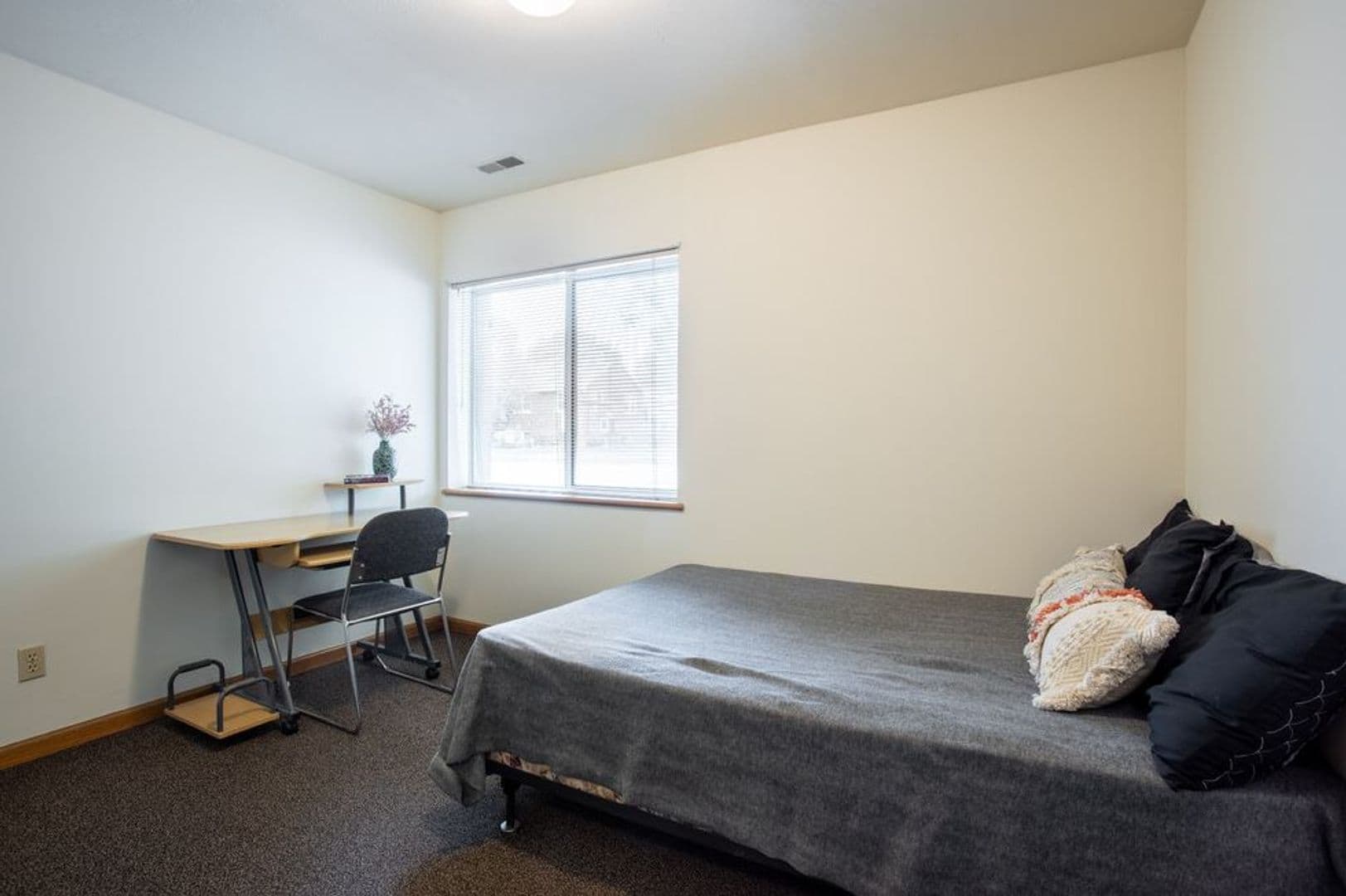 Urbana Apartment: 905 West Springfield Avenue