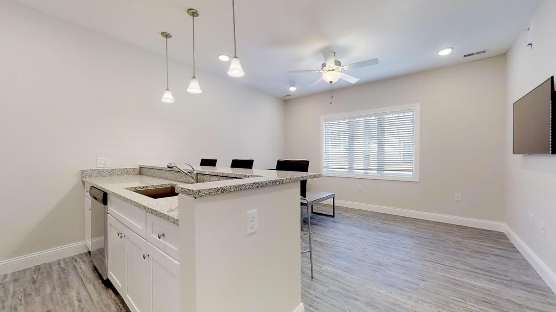 Champaign Apartment: 309 West Washington Street