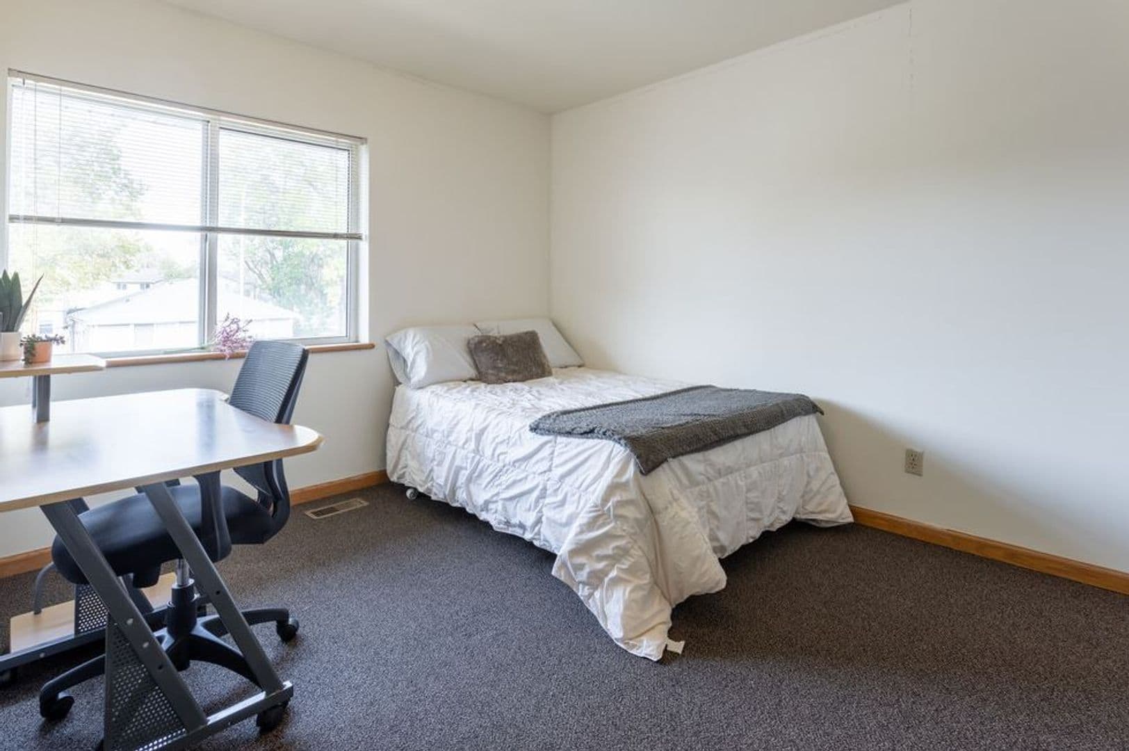Urbana Apartment: 905 West Springfield Avenue
