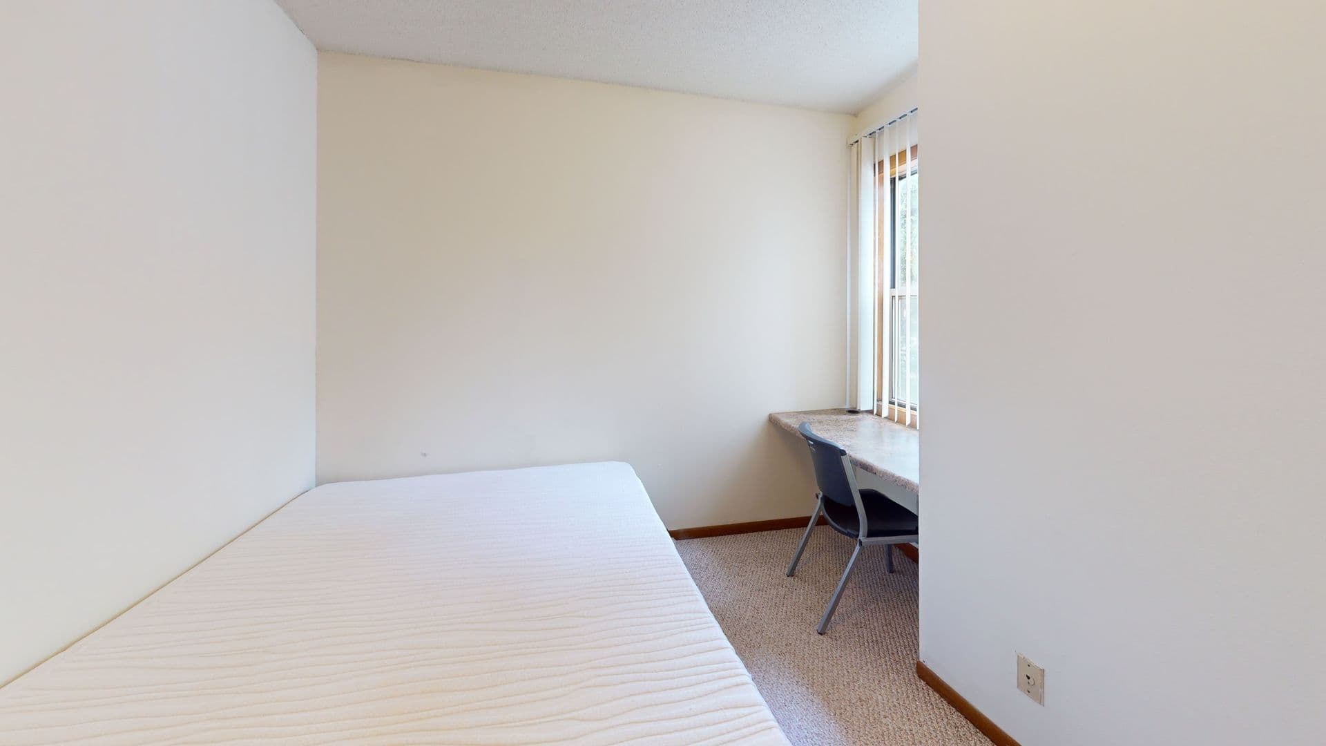 Urbana Apartment: 1003 W Stoughton Street