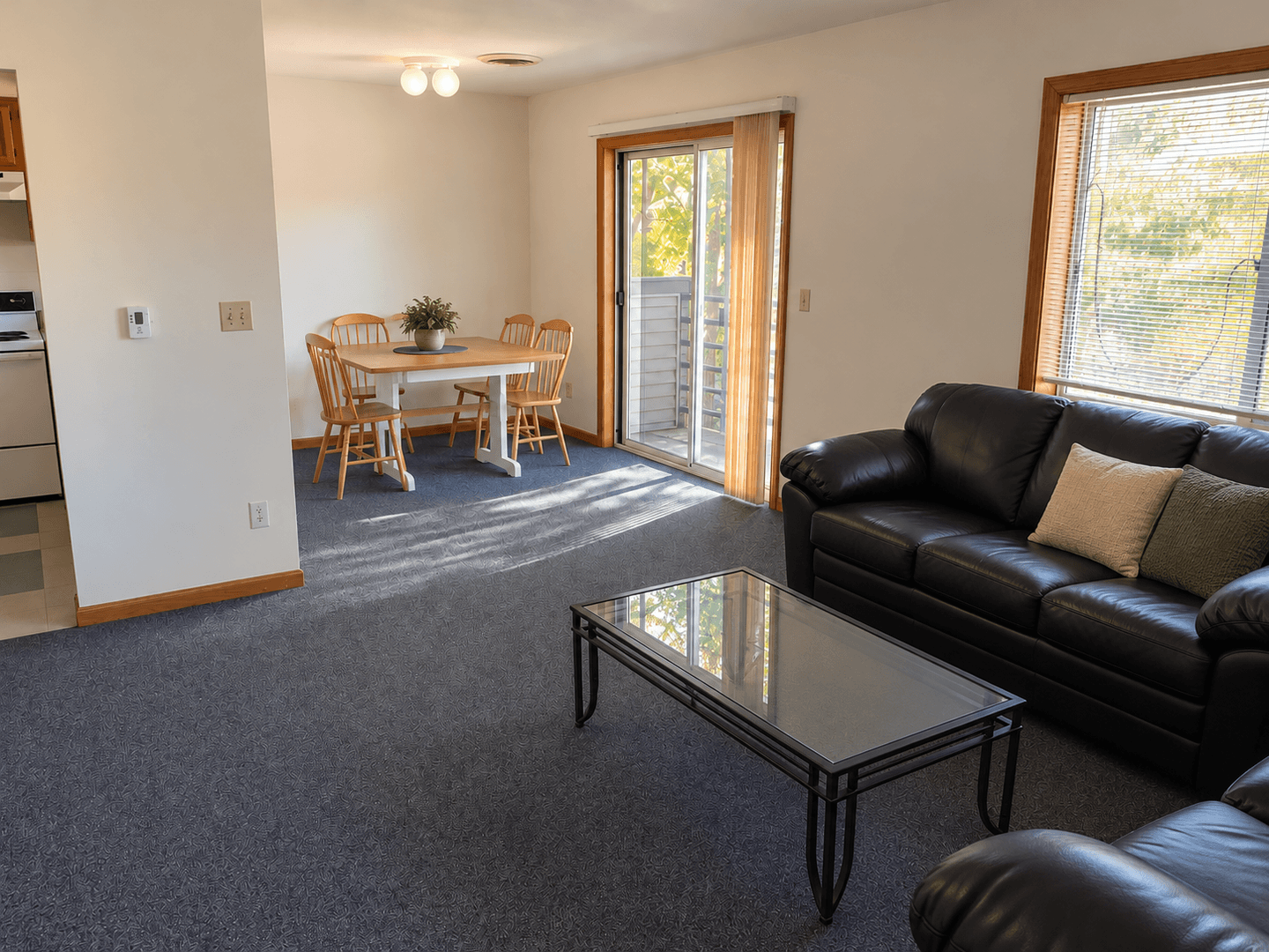 Urbana Apartment: 208 North Harvey Street