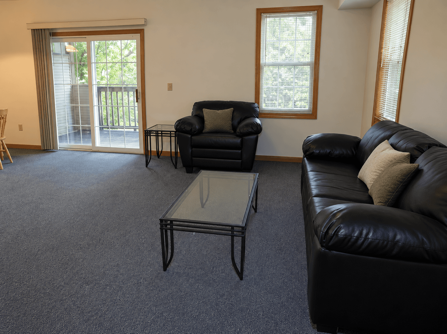 Urbana Apartment: 604 1/2-1 West Elm Street