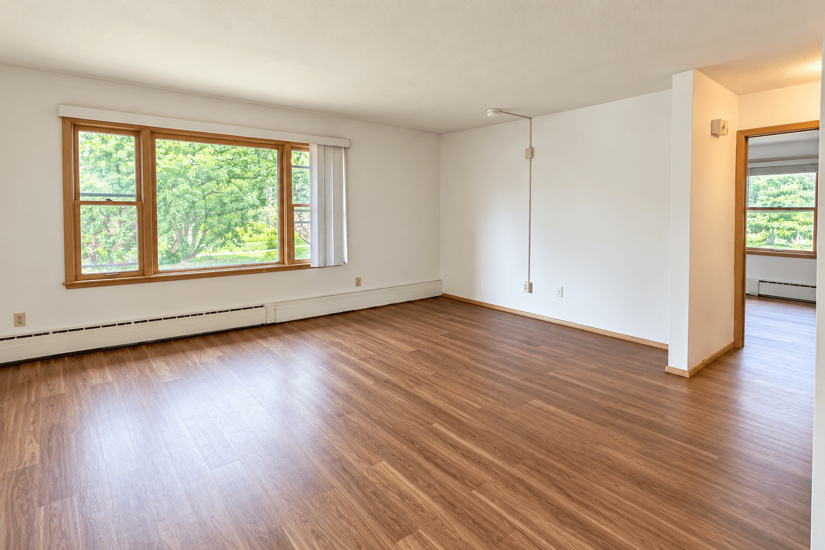Urbana Apartment: 115 West Washington Street