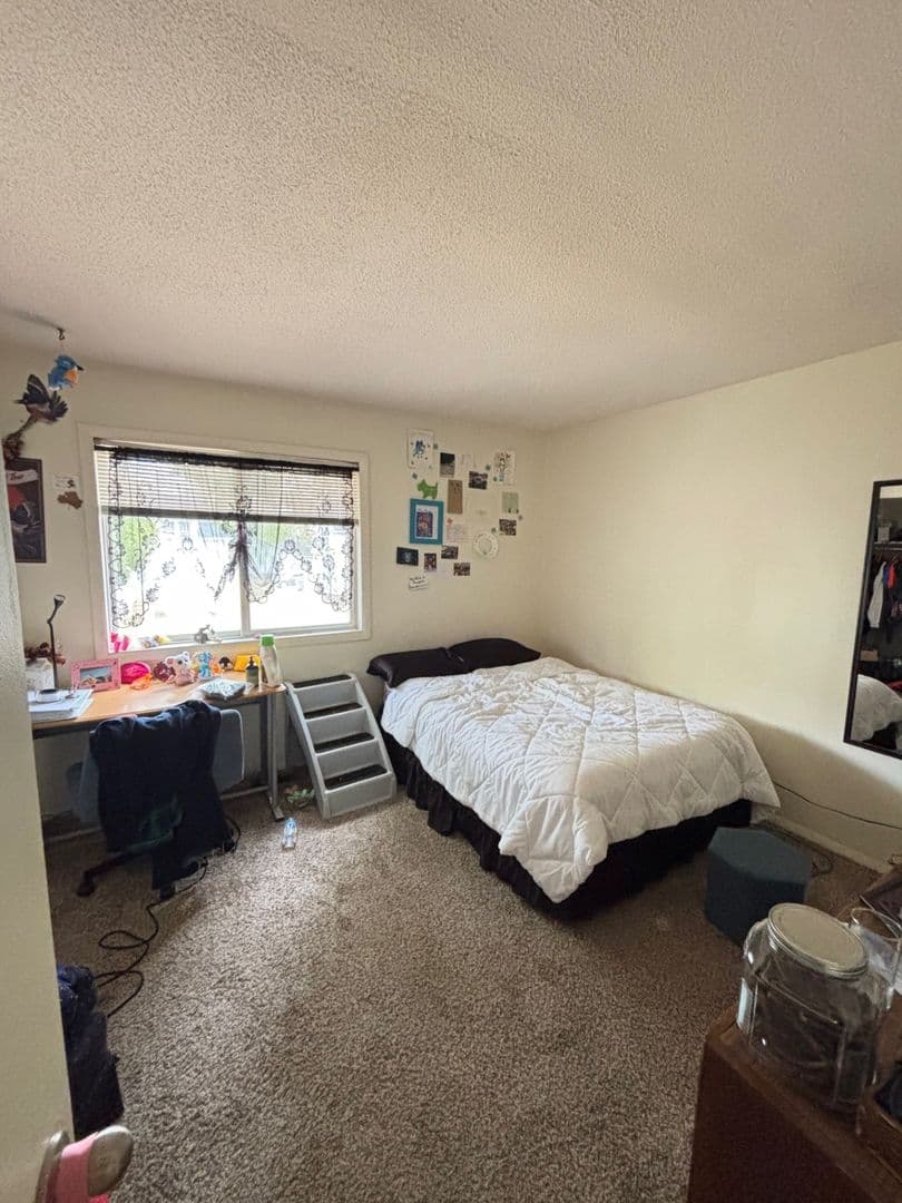 Urbana Apartment: 109 North Busey Avenue