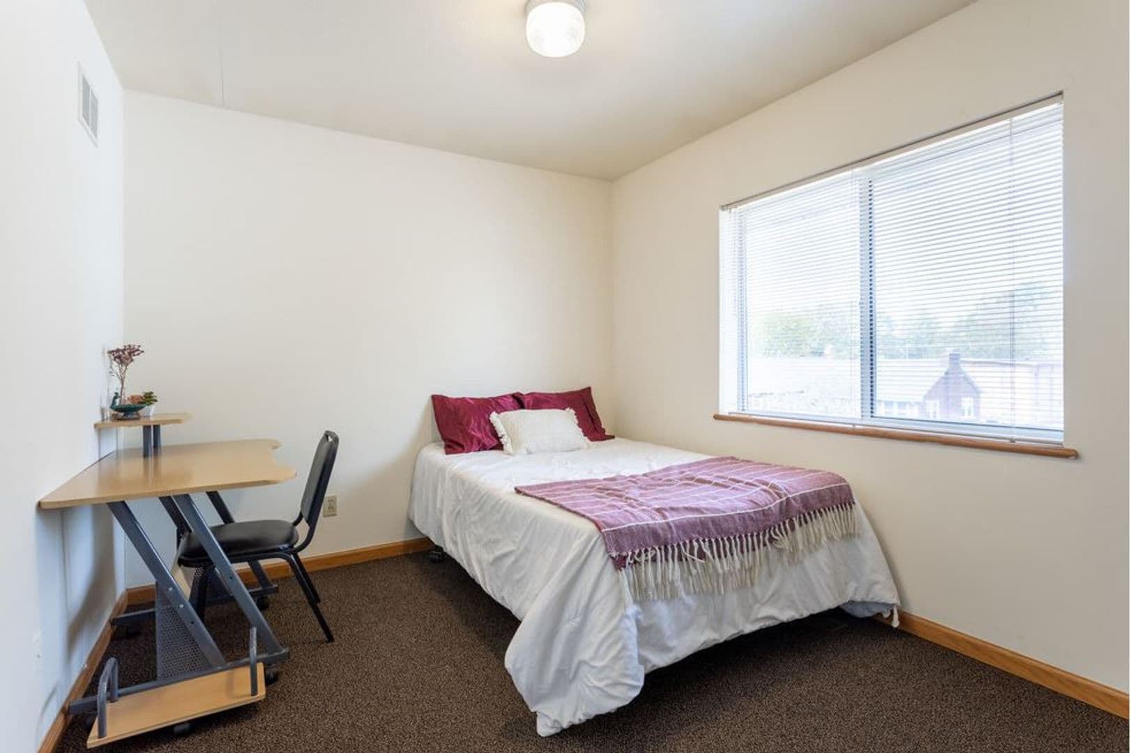Urbana Apartment: 905 West Springfield Avenue