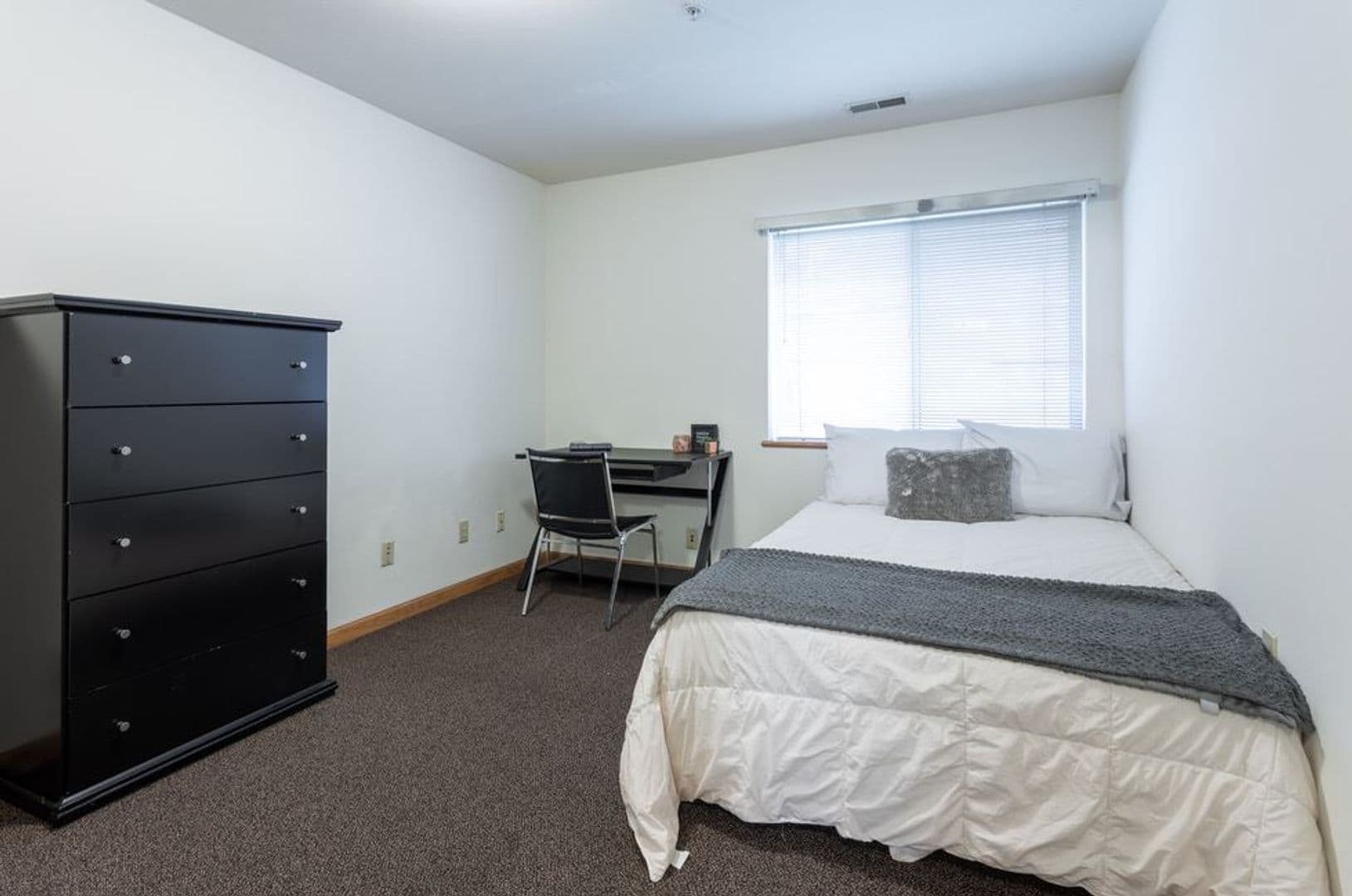 Urbana Apartment: 905 West Springfield Avenue