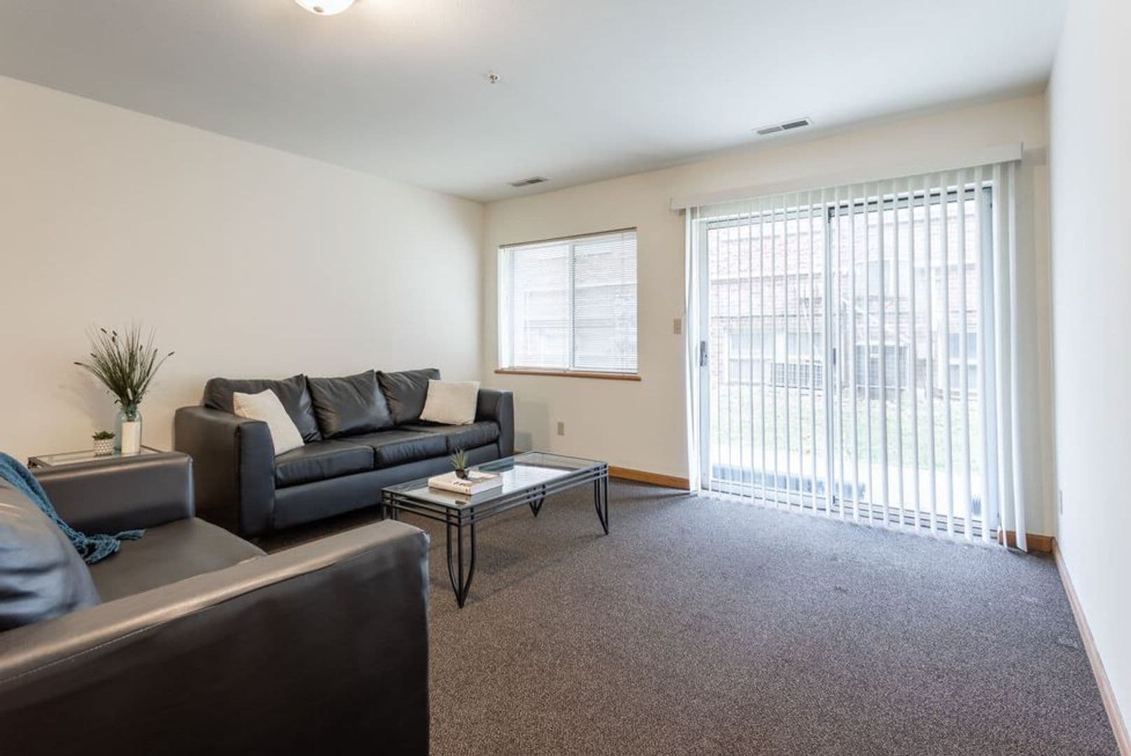 Urbana Apartment: 905 West Springfield Avenue
