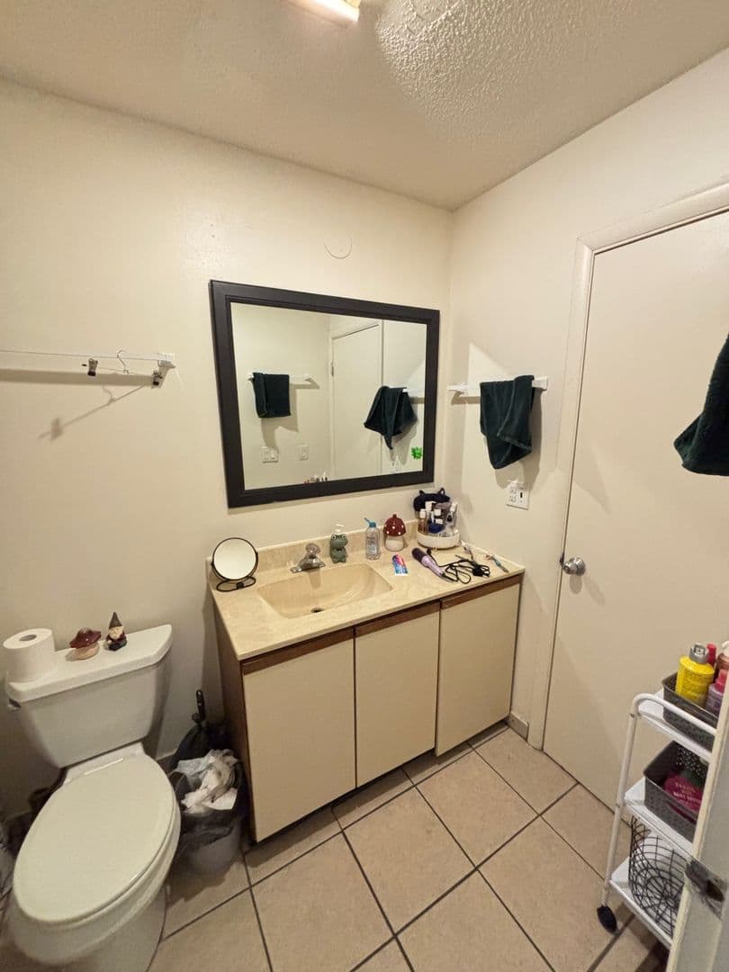 Urbana Apartment: 109 North Busey Avenue