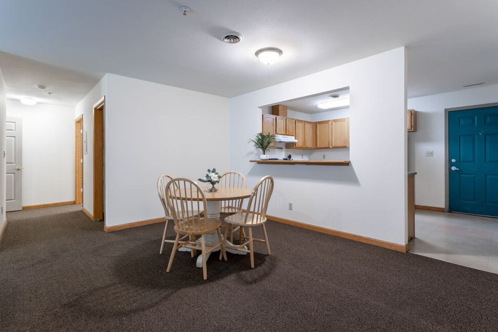 Urbana Apartment: 905 West Springfield Avenue