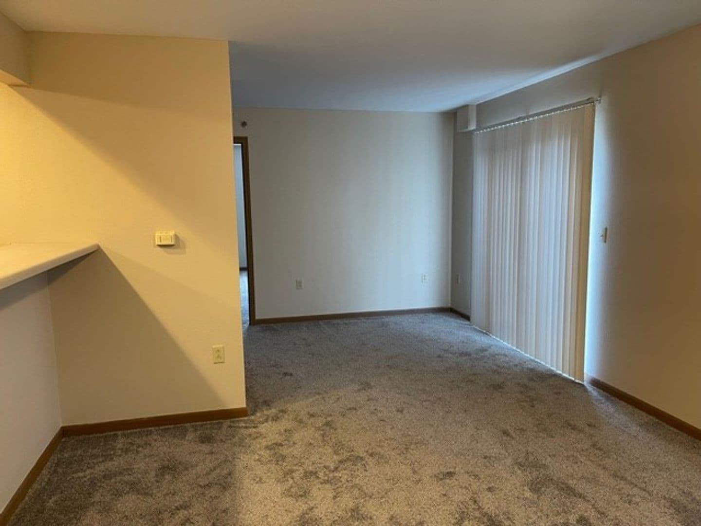 Champaign Apartment: 310 Cedar Street