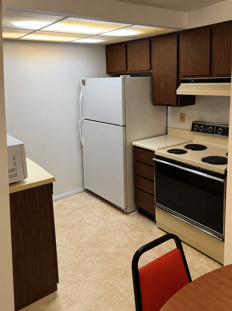 Urbana Apartment: 802 West Springfield Avenue