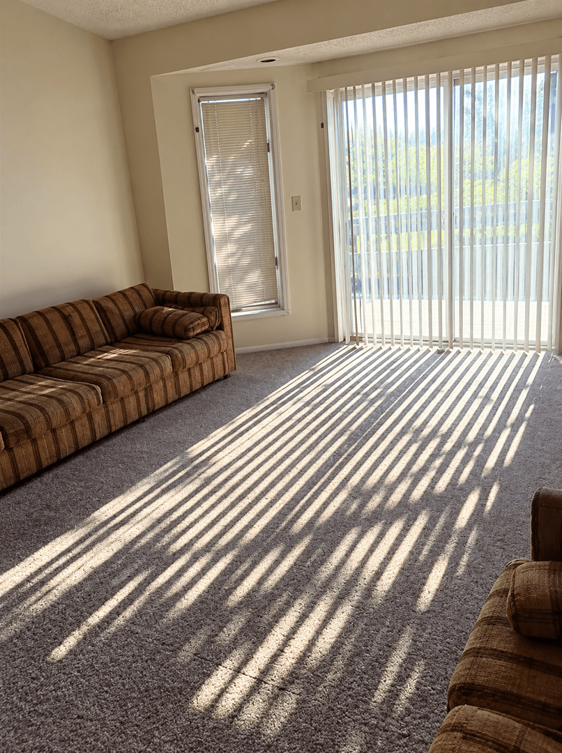 Urbana Apartment: 802 West Springfield Avenue